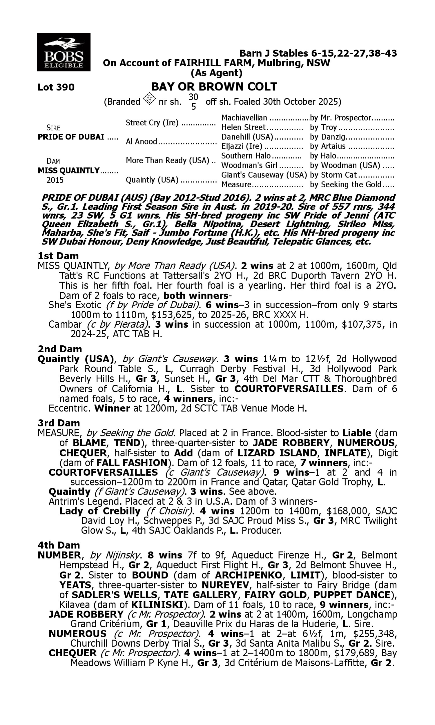 Pedigree for Lot 390 Pride of Dubai - Miss Quaintly