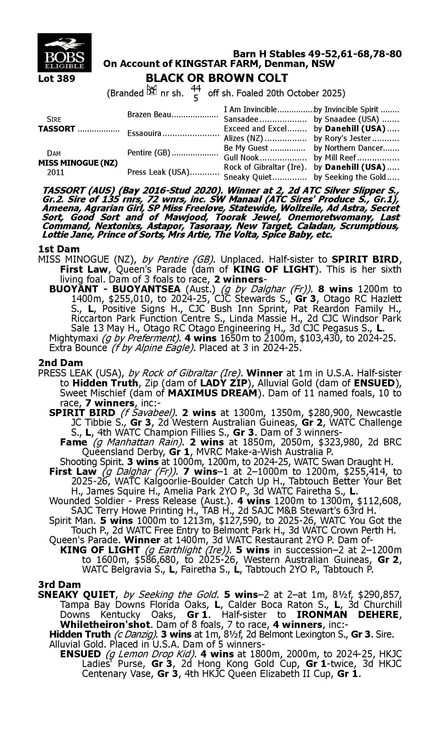 Pedigree for Lot 389 Tassort - Miss Minogue (NZ)