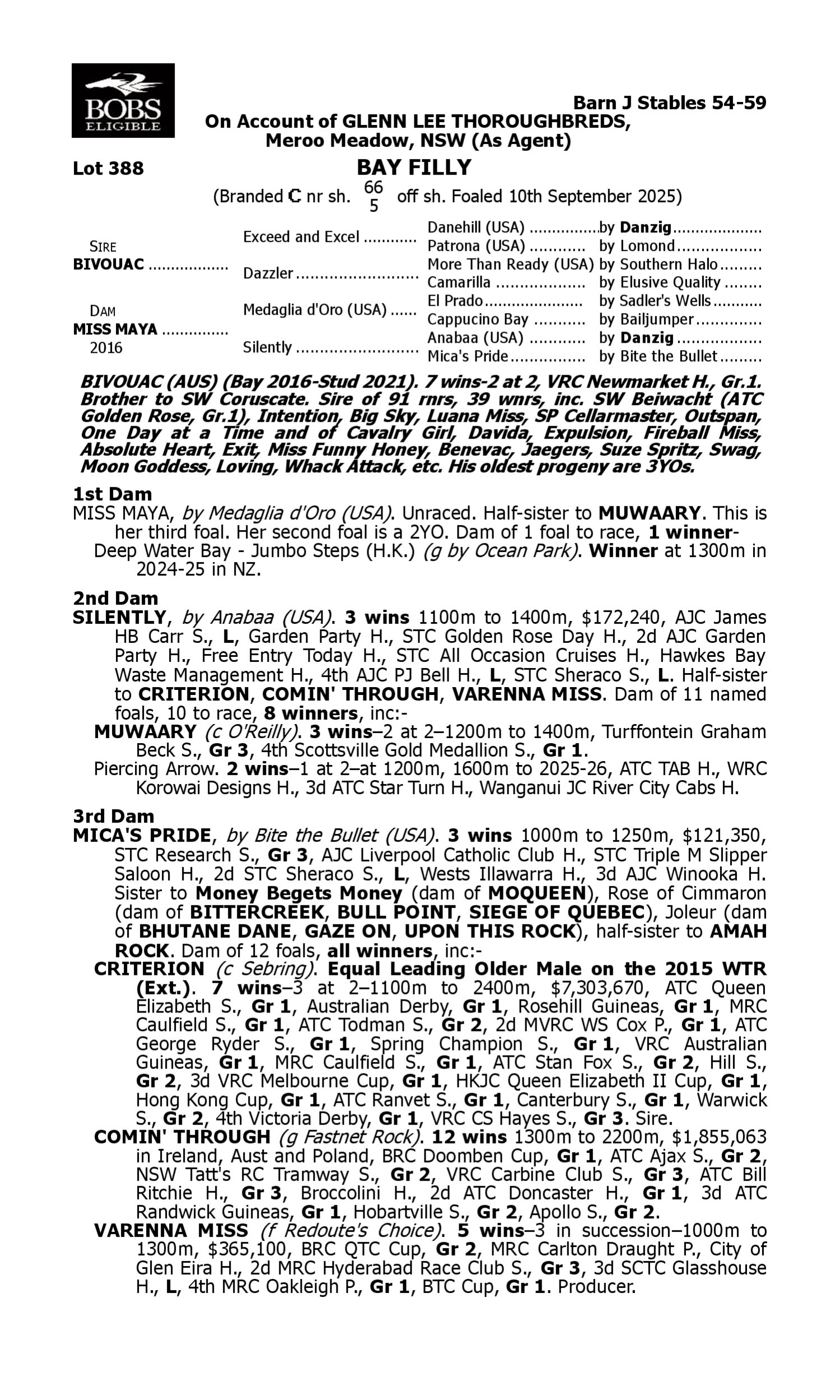 Pedigree for Lot 388 Bivouac - Miss Maya