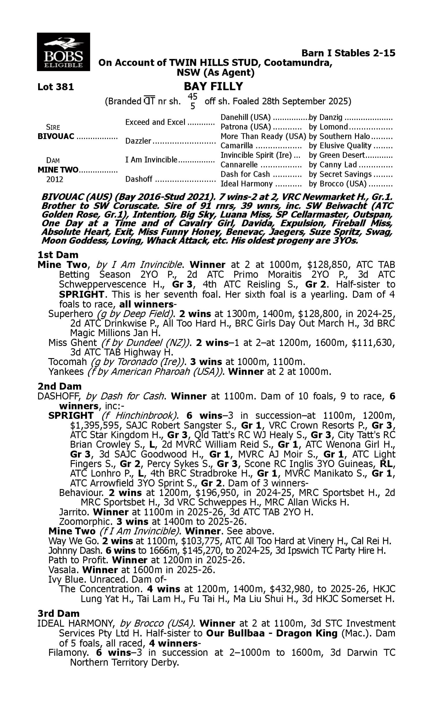 Pedigree for Lot 381 Bivouac - Mine Two