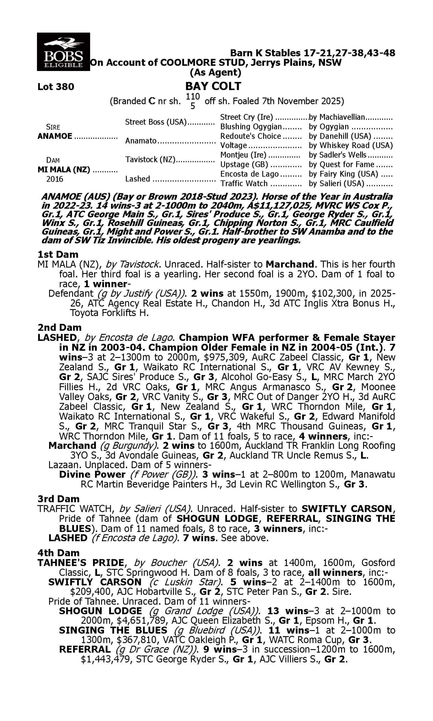 Pedigree for Lot 380 Anamoe - Mi Mala (NZ)