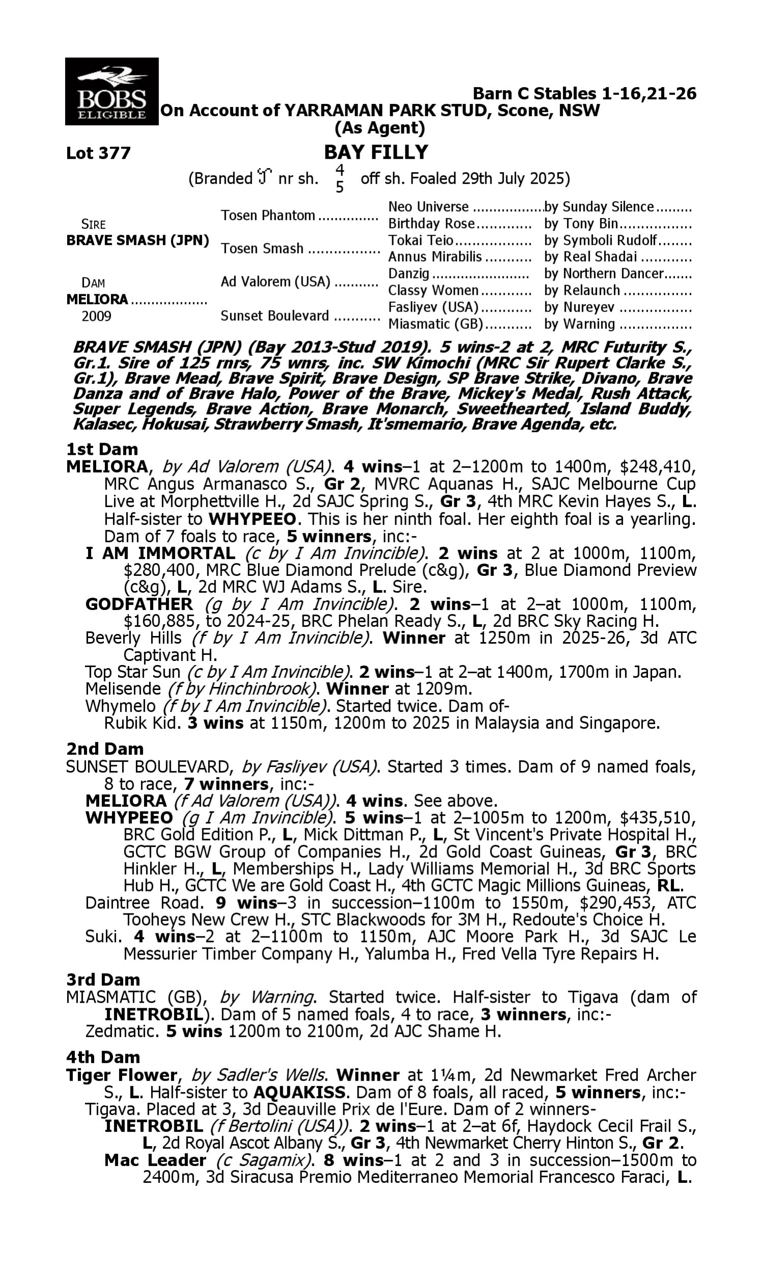 Pedigree for Lot 377 Brave Smash (JPN) - Meliora