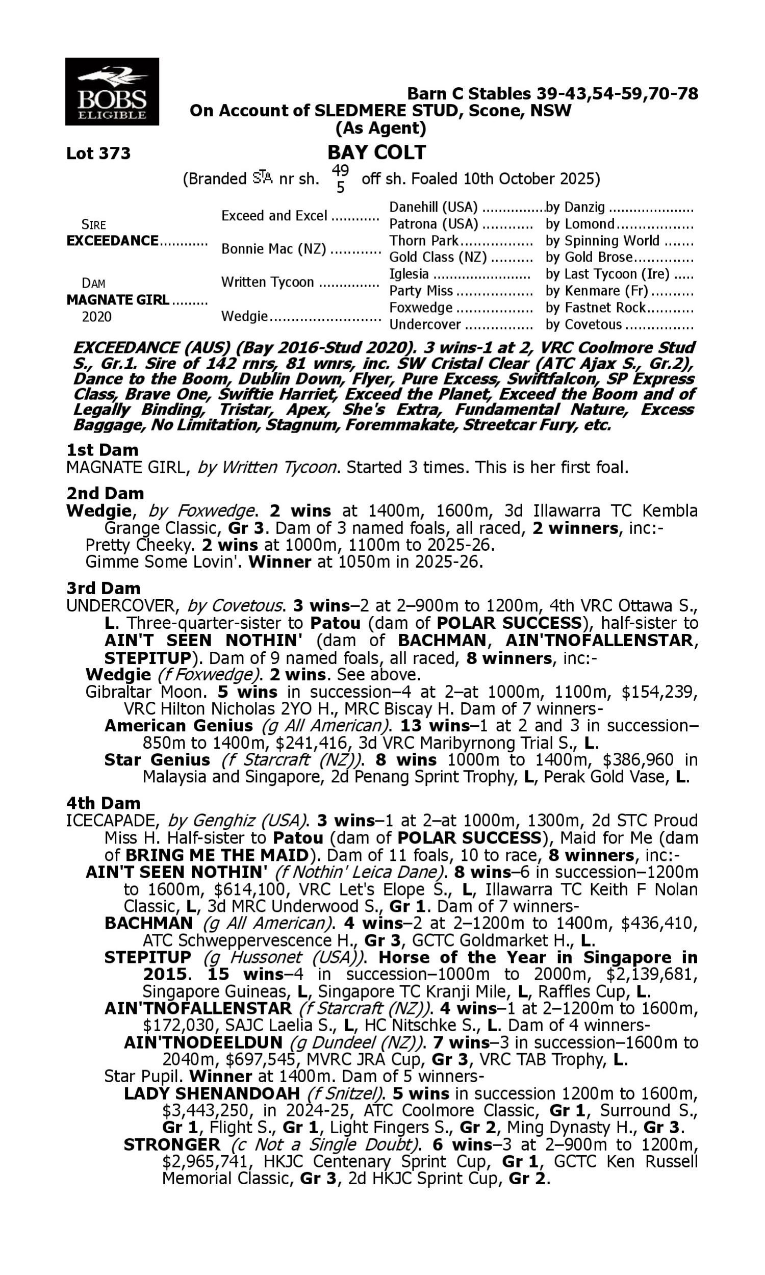 Pedigree for Lot 373 Exceedance - Magnate Girl