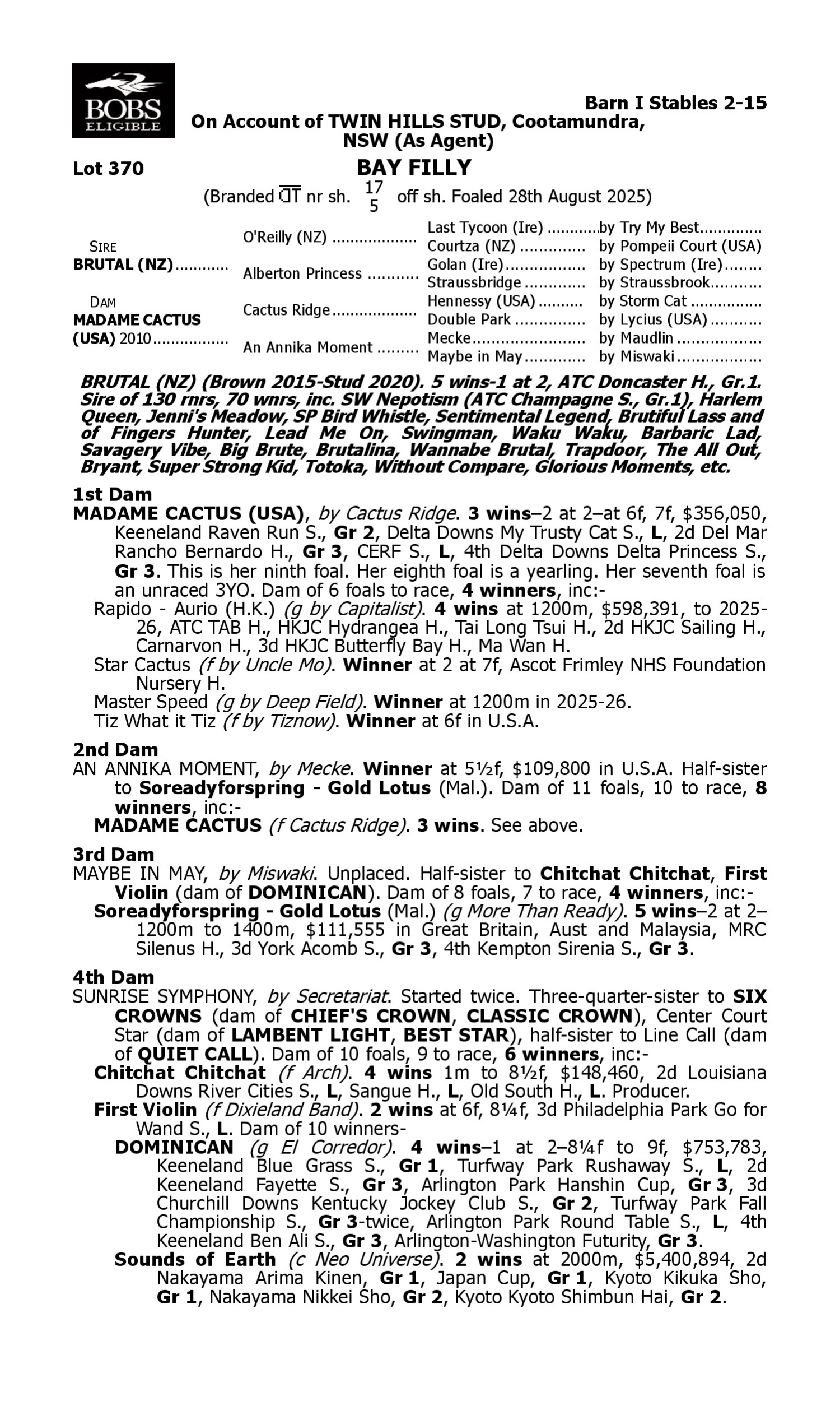 Pedigree for Lot 370 Brutal (NZ) - Madame Cactus (USA)