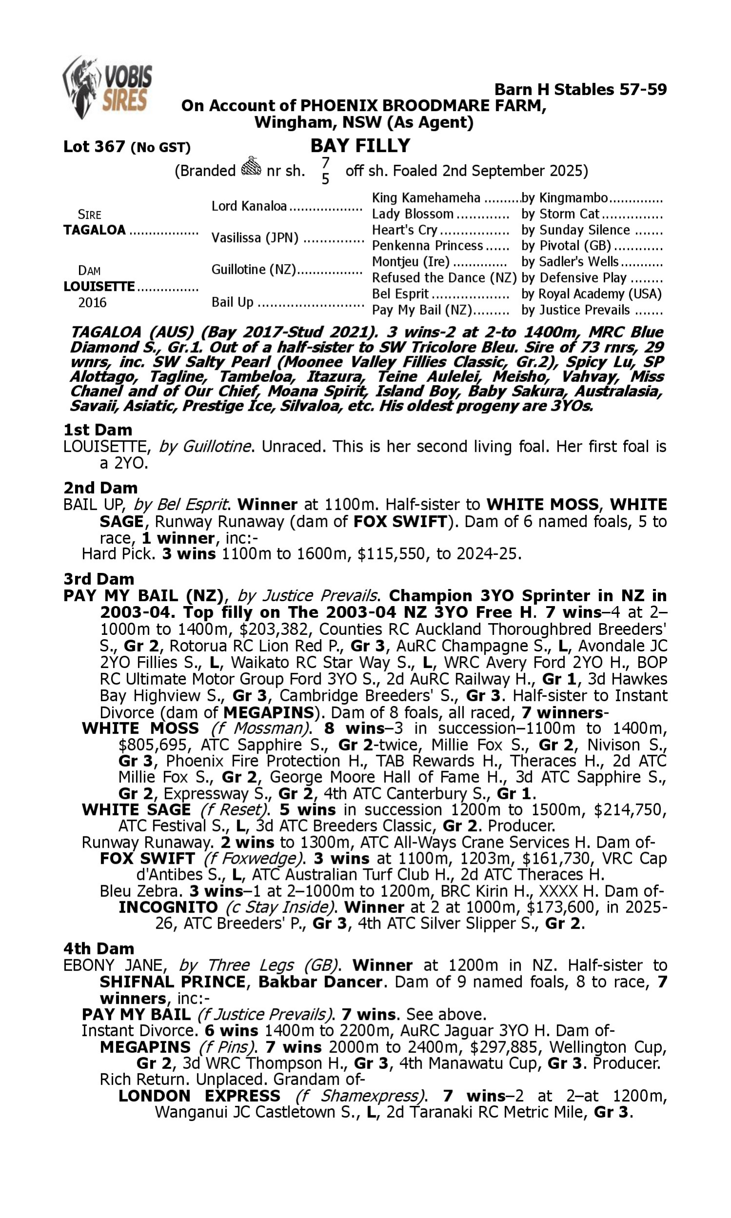 Pedigree for Lot 367 Tagaloa - Louisette