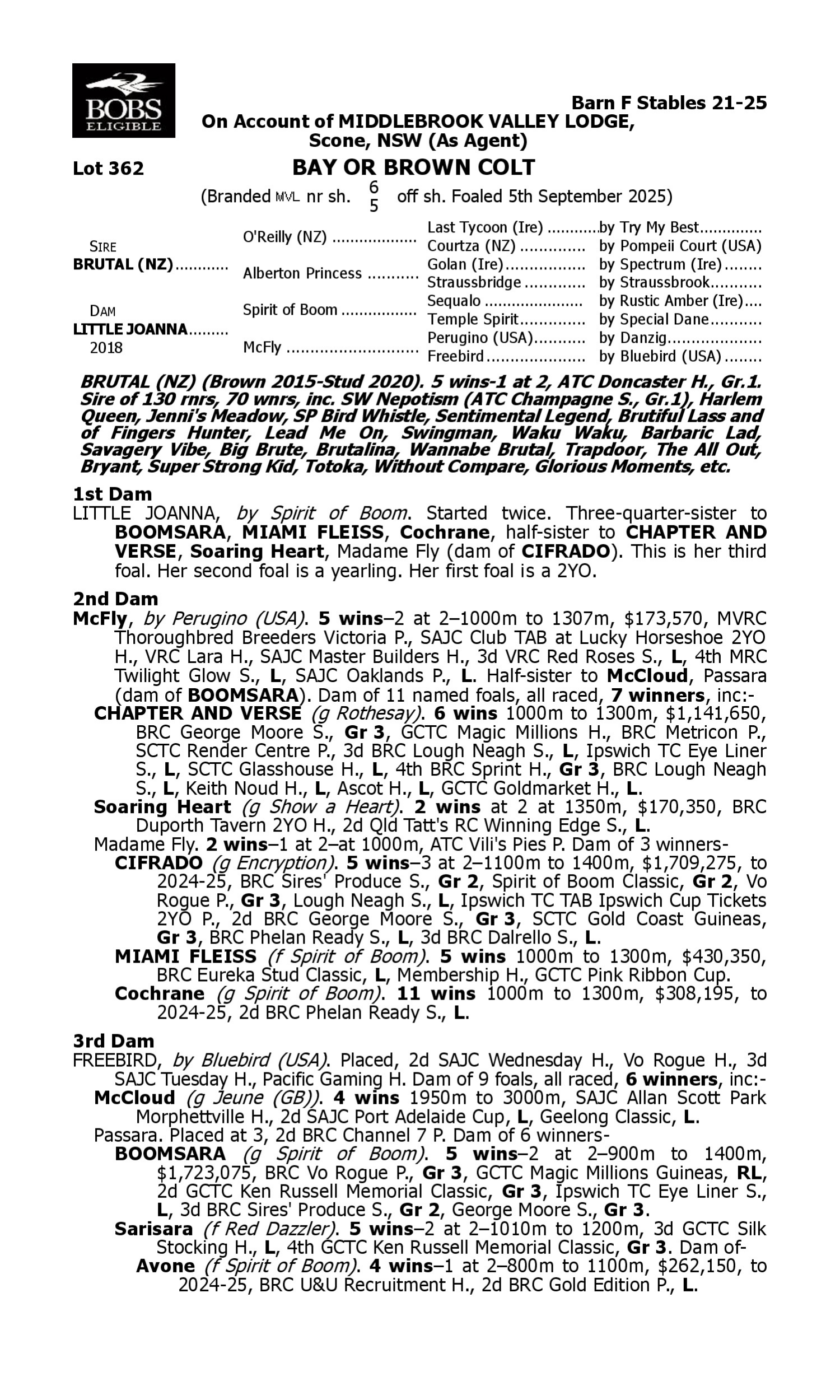Pedigree for Lot 362 Brutal (NZ) - Little Joanna