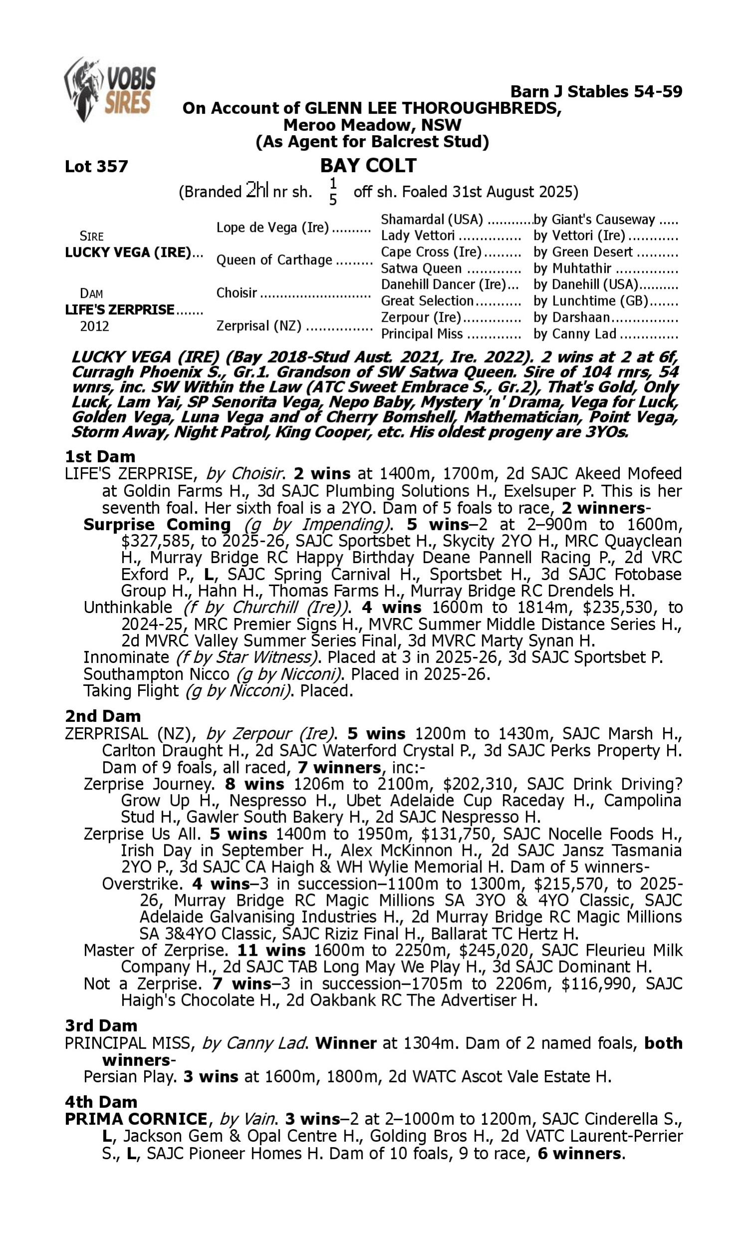 Pedigree for Lot 357 Lucky Vega (IRE) - Life's Zerprise