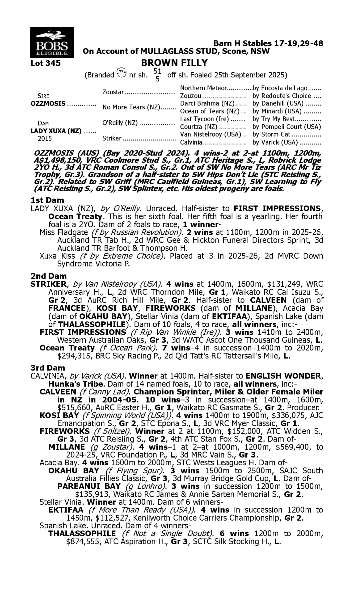 Pedigree for Lot 345 Ozzmosis - Lady Xuxa (NZ)