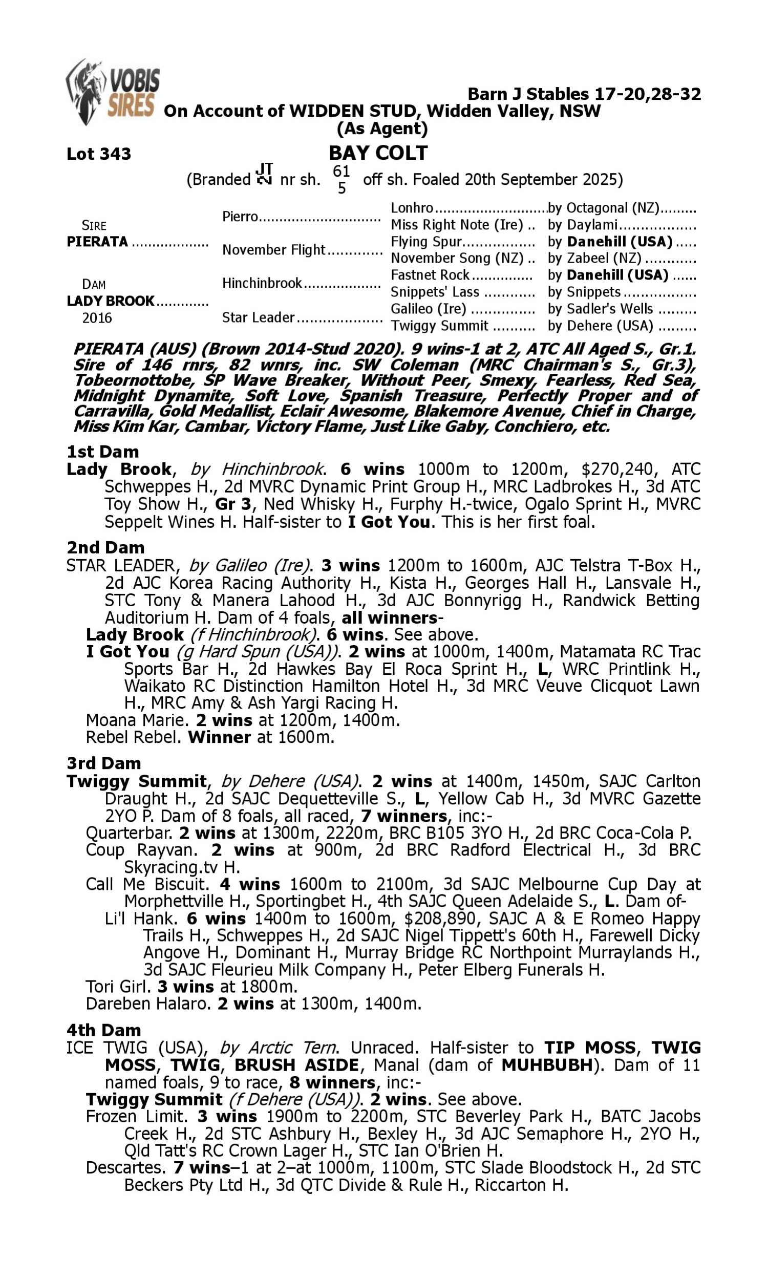 Pedigree for Lot 343 Pierata - Lady Brook