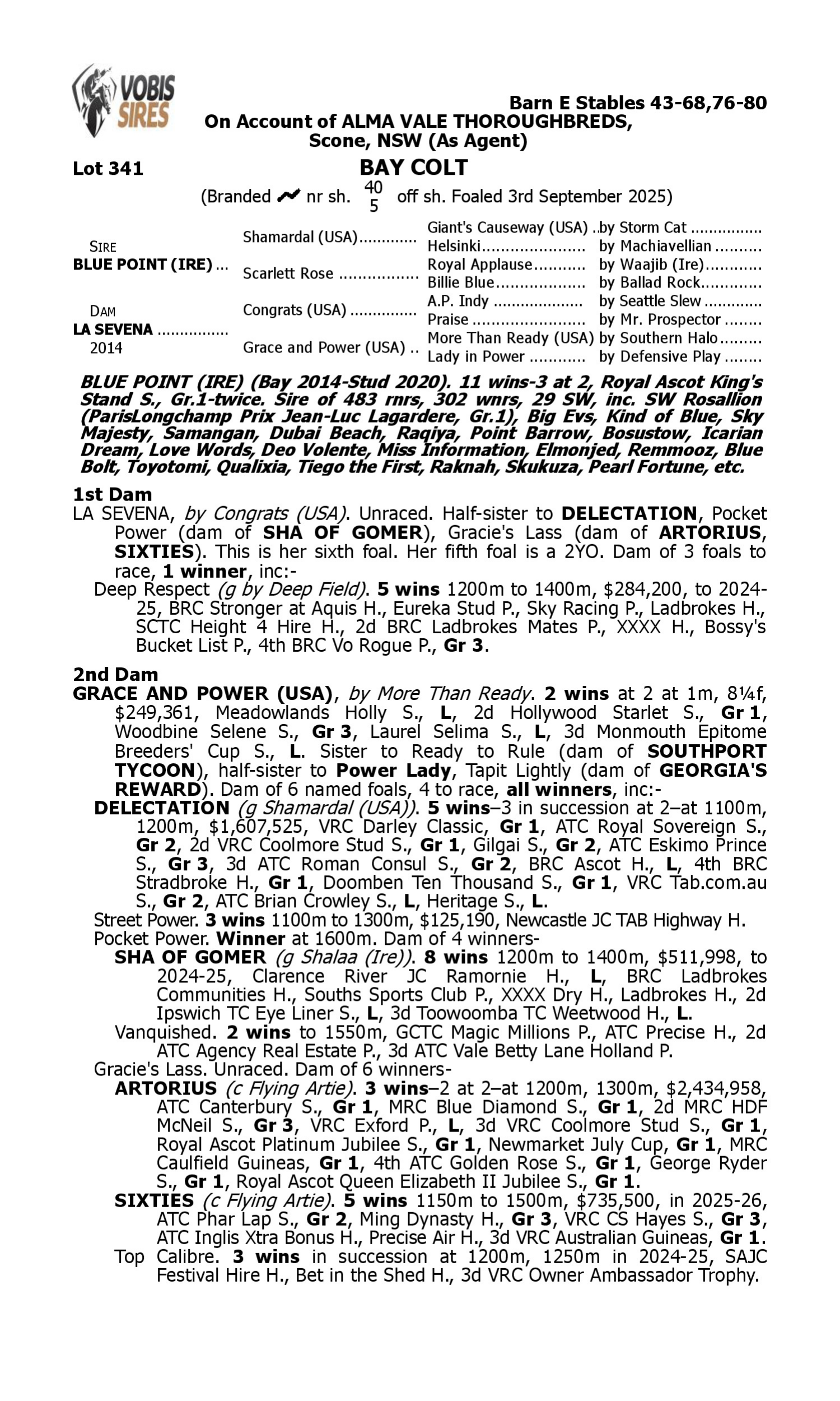 Pedigree for Lot 341 Blue Point (IRE) - La Sevena