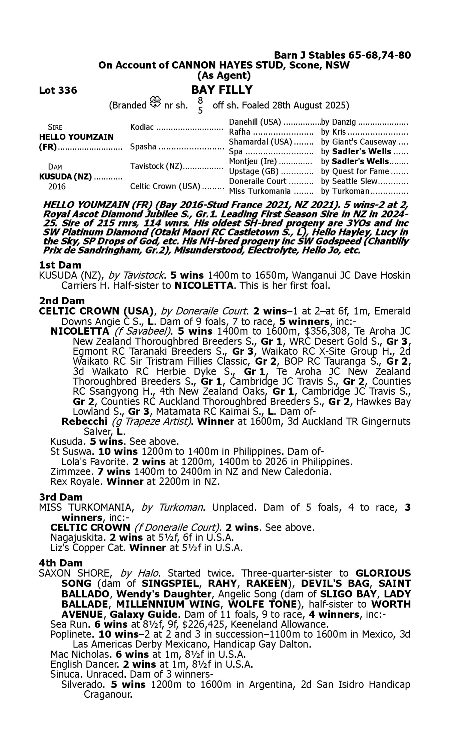 Pedigree for Lot 336 Hello Youmzain (FR) - Kusuda (NZ)