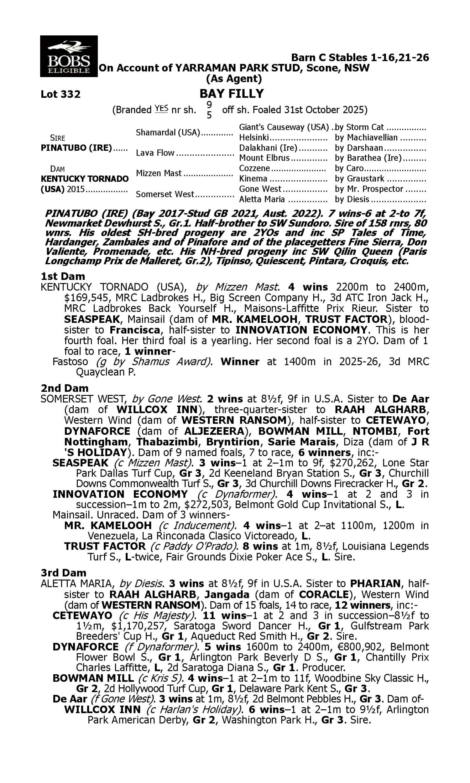Pedigree for Lot 332 Pinatubo (IRE) - Kentucky Tornado (USA)
