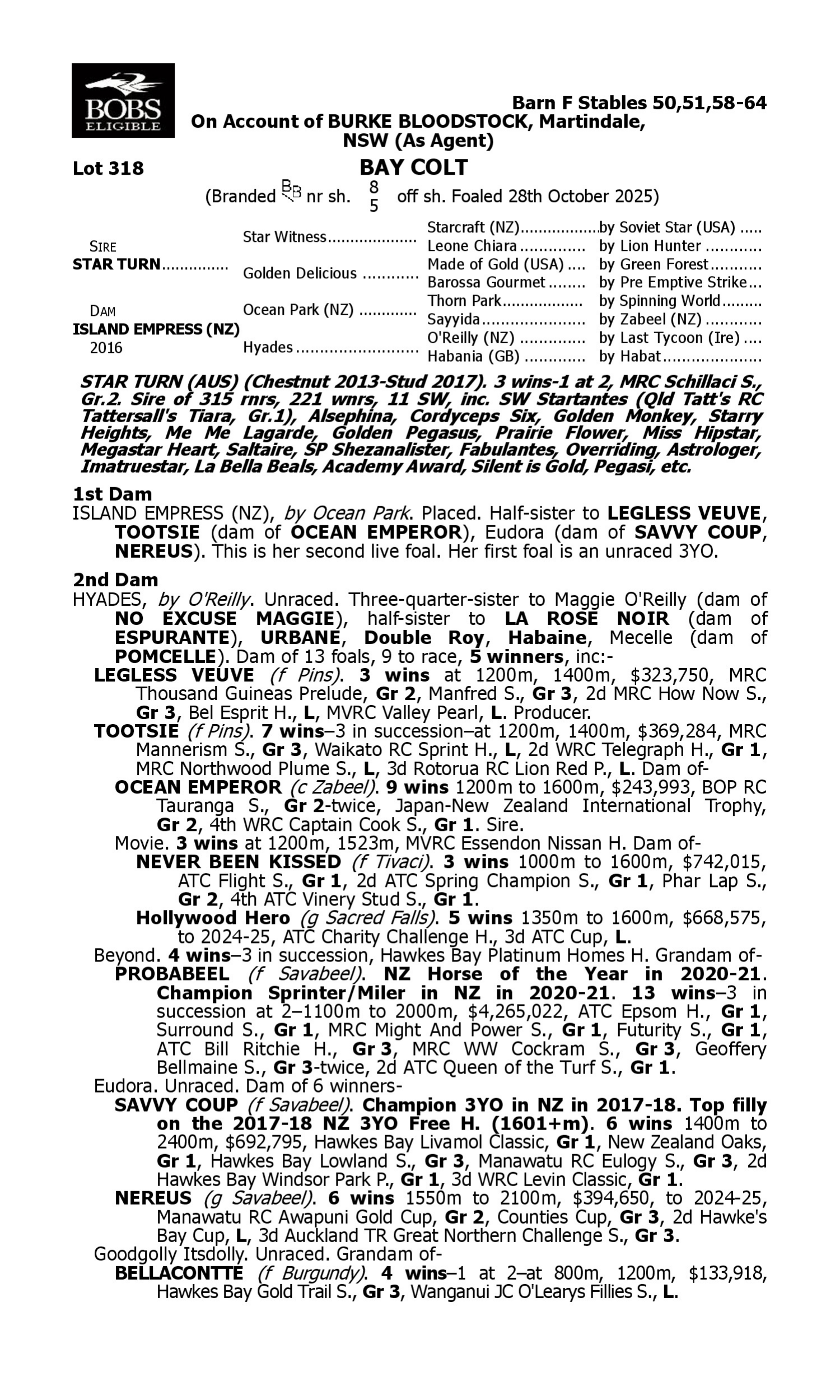 Pedigree for Lot 318 Star Turn - Island Empress (NZ)