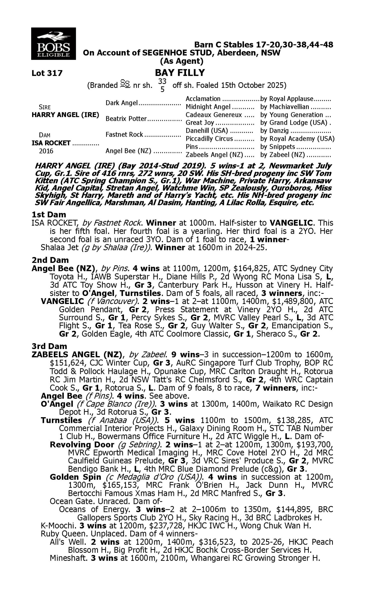 Pedigree for Lot 317 Harry Angel (IRE) - Isa Rocket
