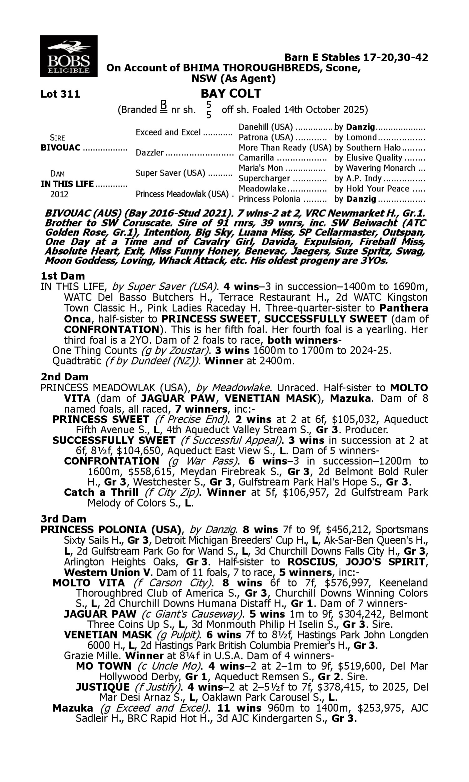 Pedigree for Lot 311 Bivouac - In This Life