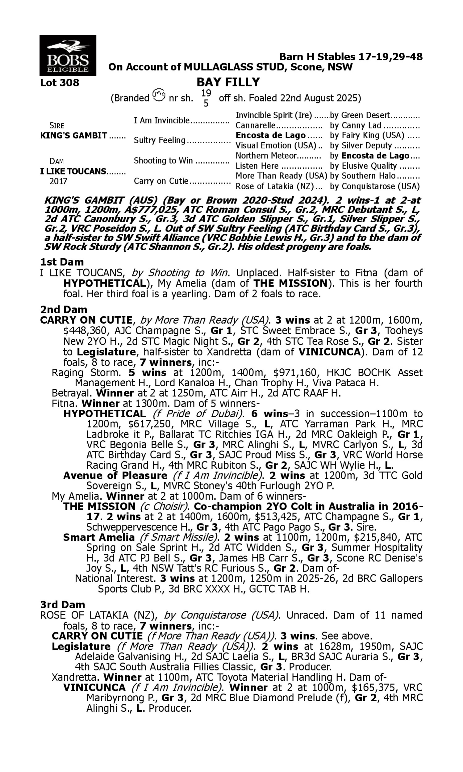 Pedigree for Lot 308 King's Gambit - I Like Toucans