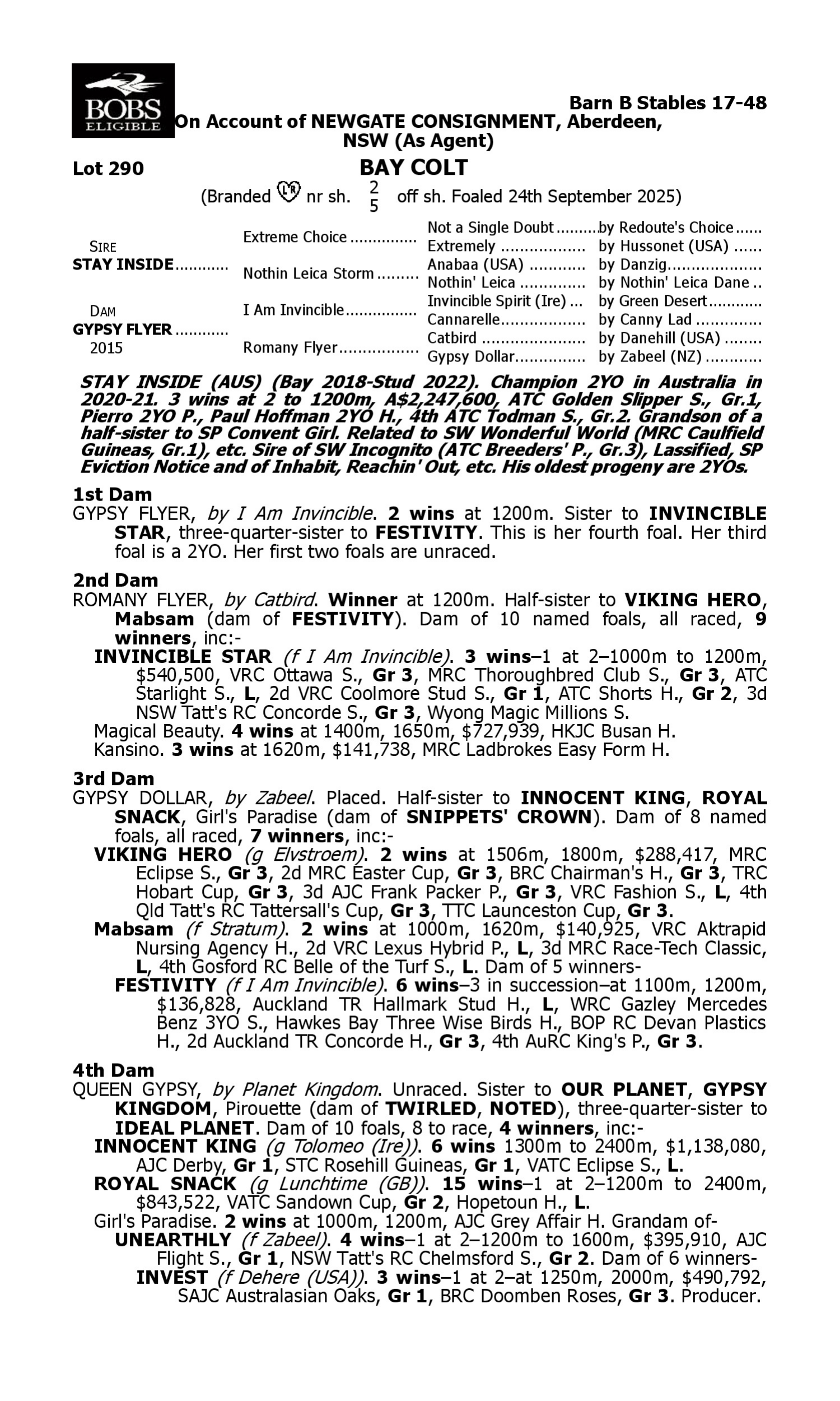 Pedigree for Lot 290 Stay Inside - Gypsy Flyer