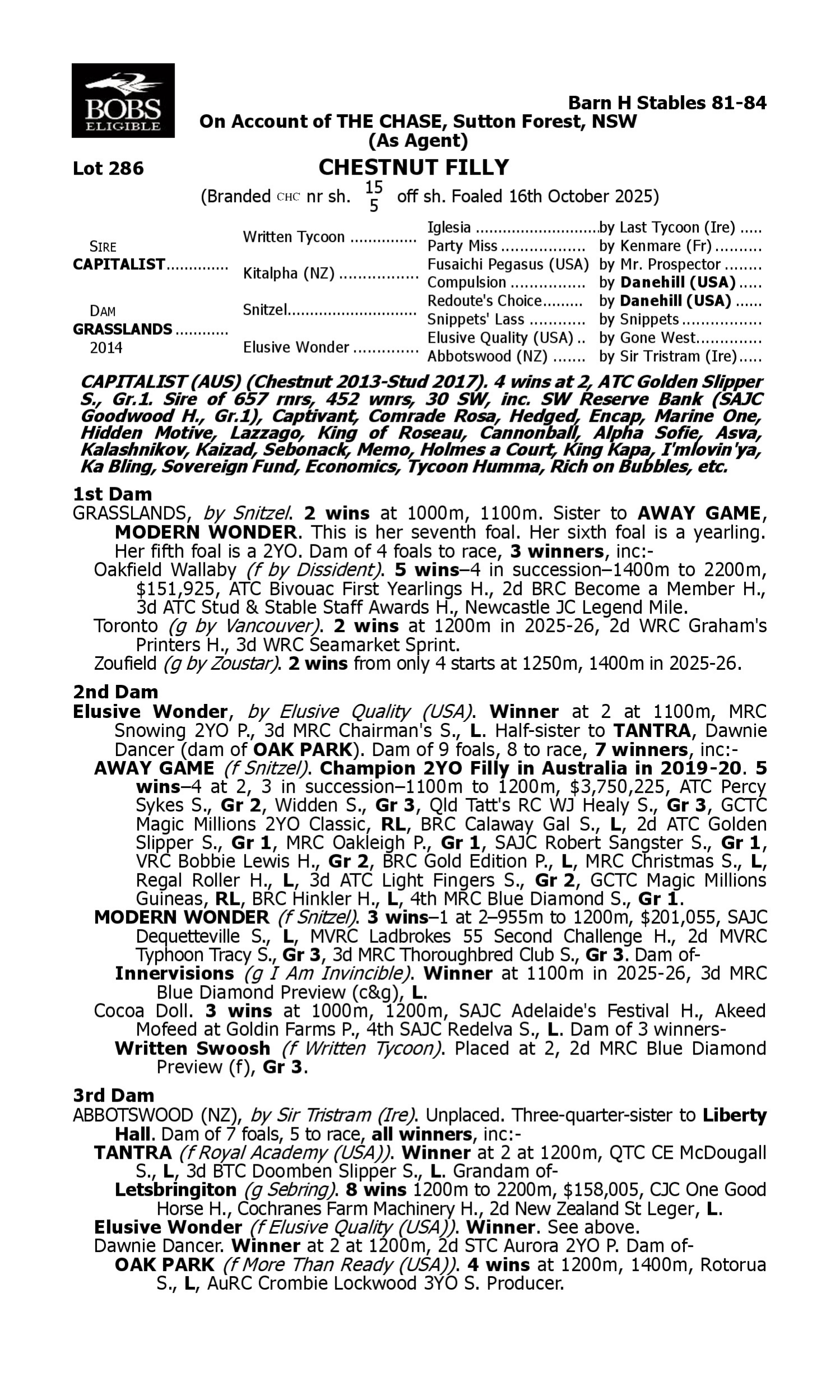 Pedigree for Lot 286 Capitalist - Grasslands