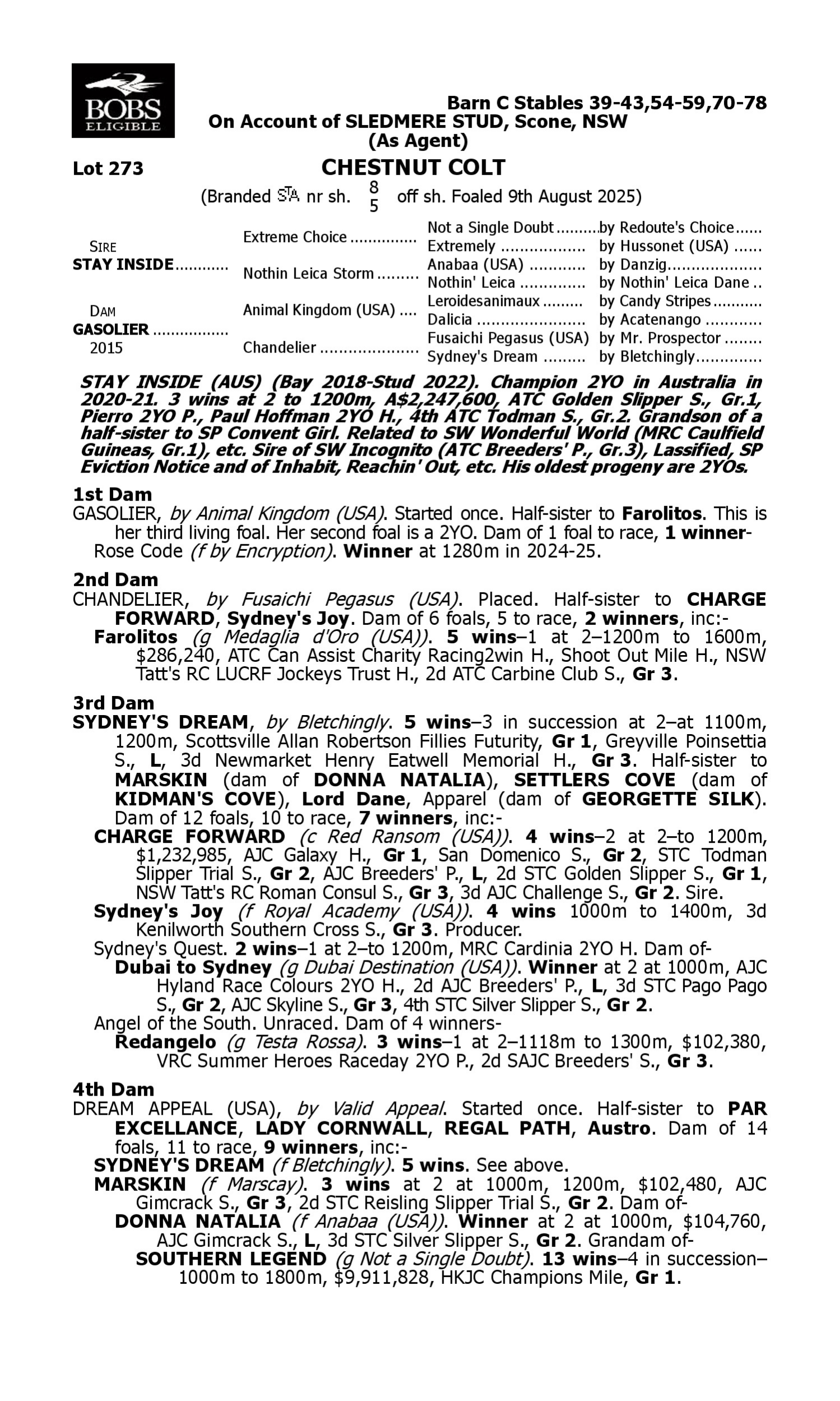 Pedigree for Lot 273 Stay Inside - Gasolier