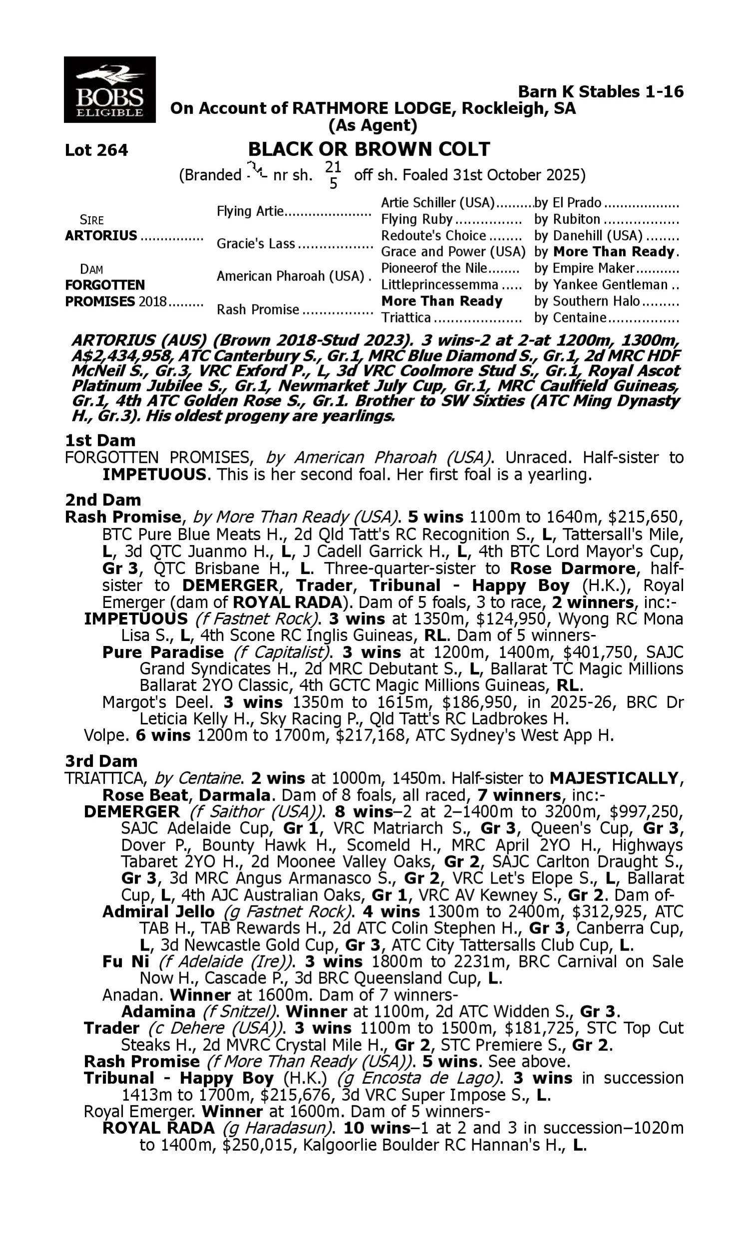 Pedigree for Lot 264 Artorius - Forgotten Promises