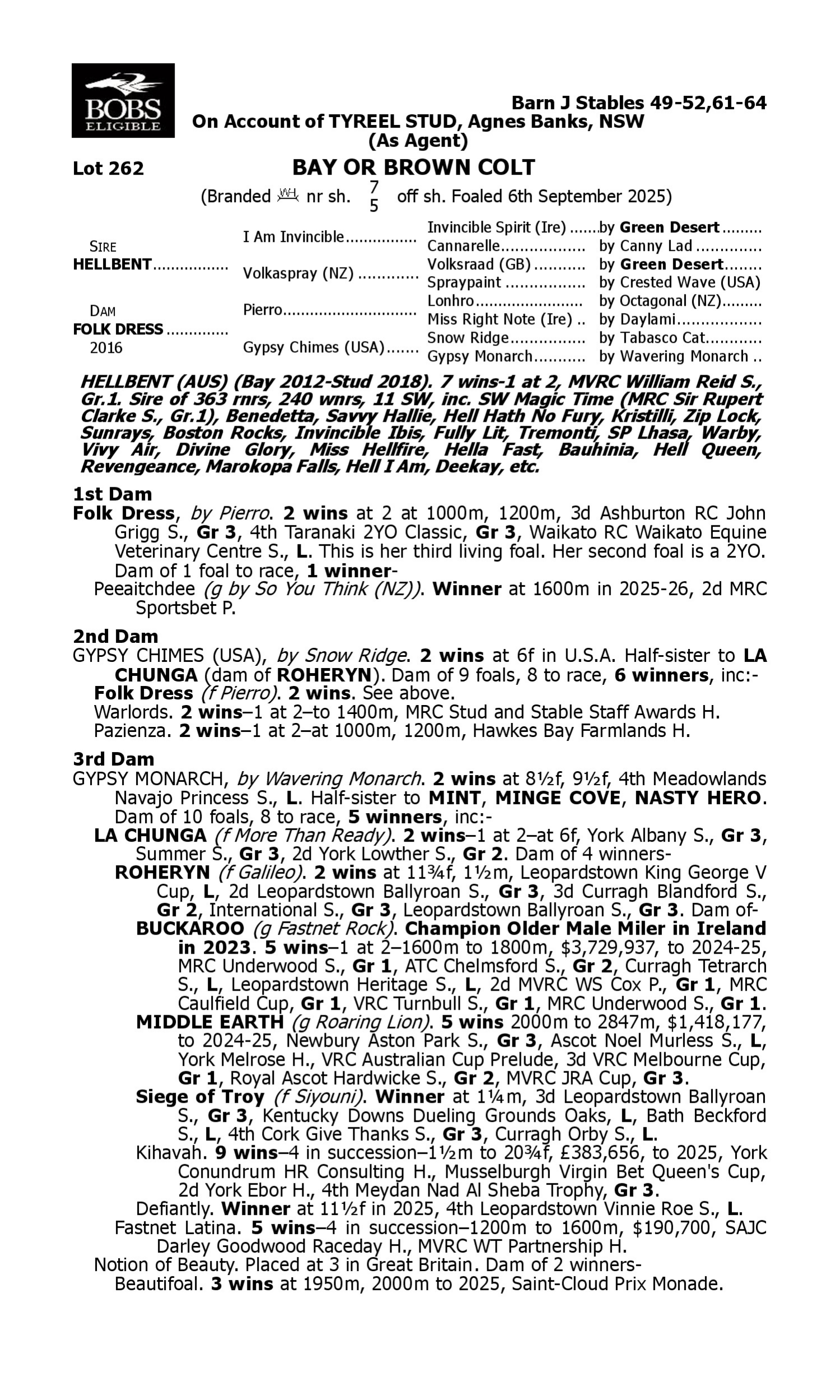 Pedigree for Lot 262 Hellbent - Folk Dress