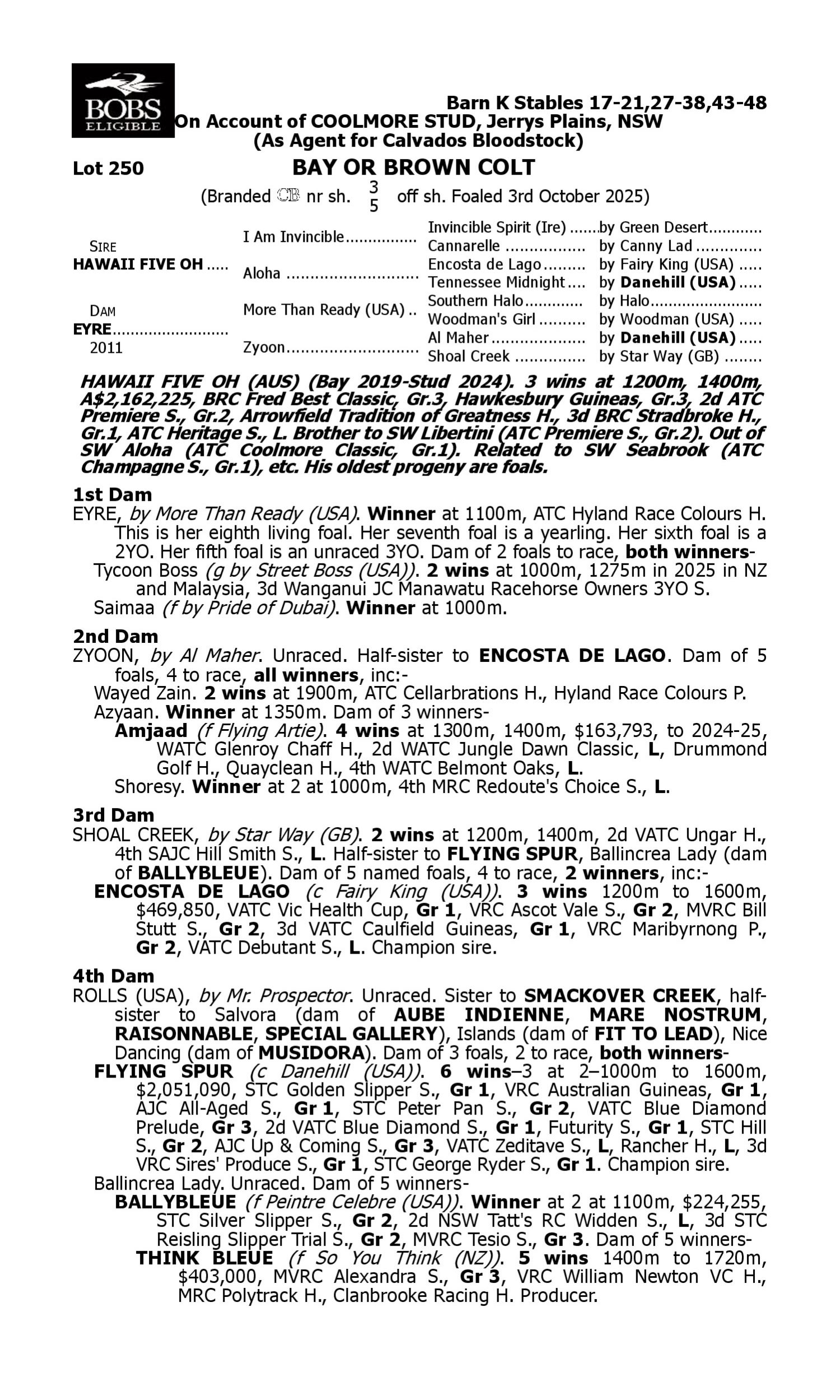 Pedigree for Lot 250 Hawaii Five Oh - Eyre