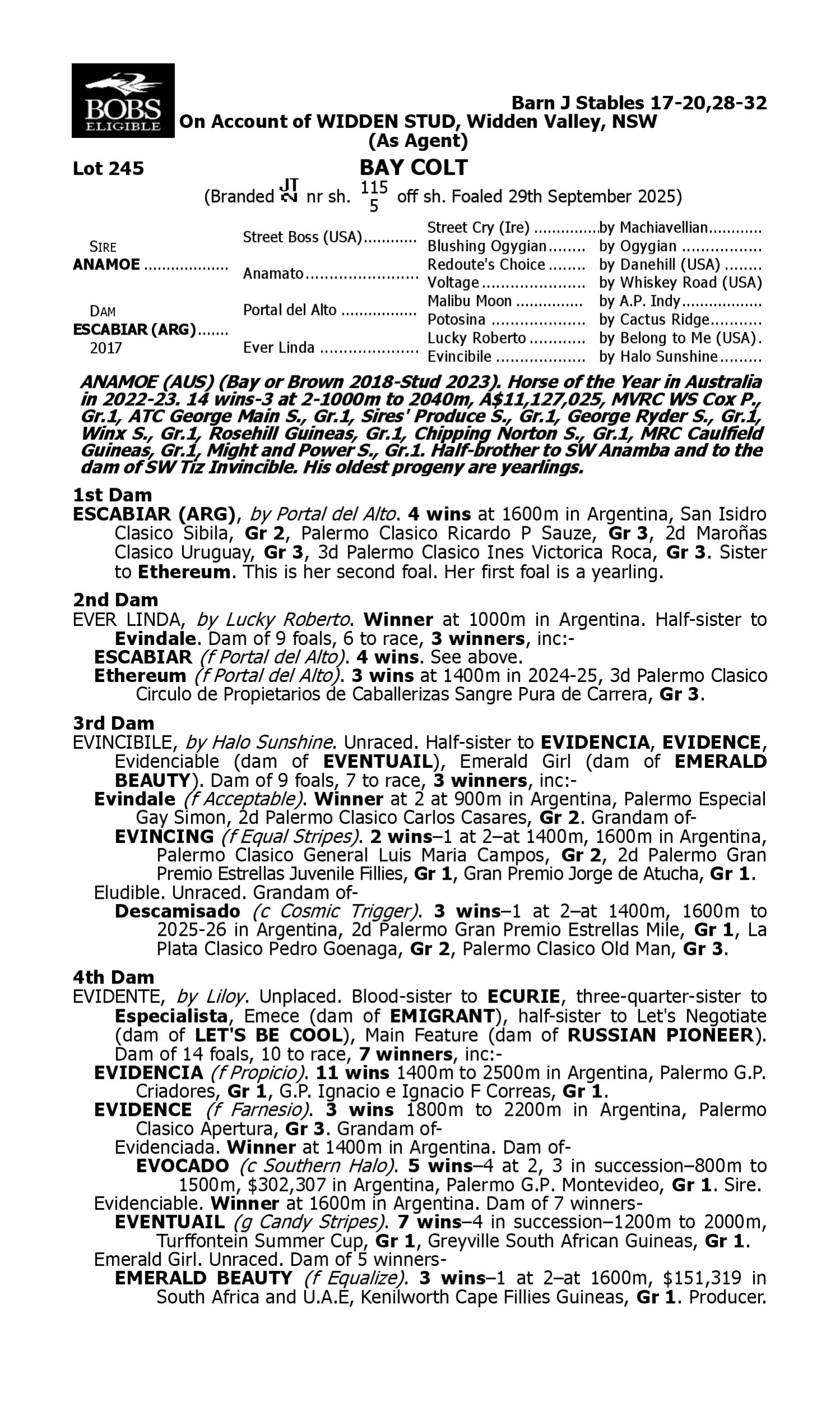 Pedigree for Lot 245 Anamoe - Escabiar (ARG)