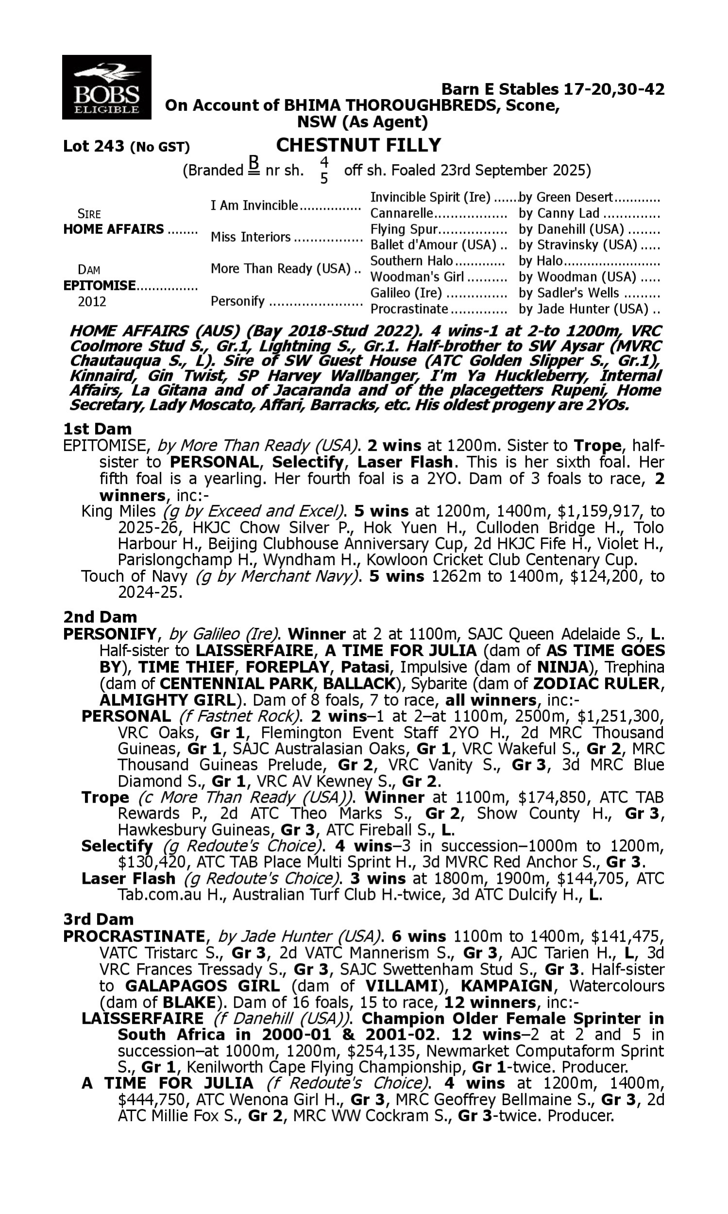 Pedigree for Lot 243 Home Affairs - Epitomise