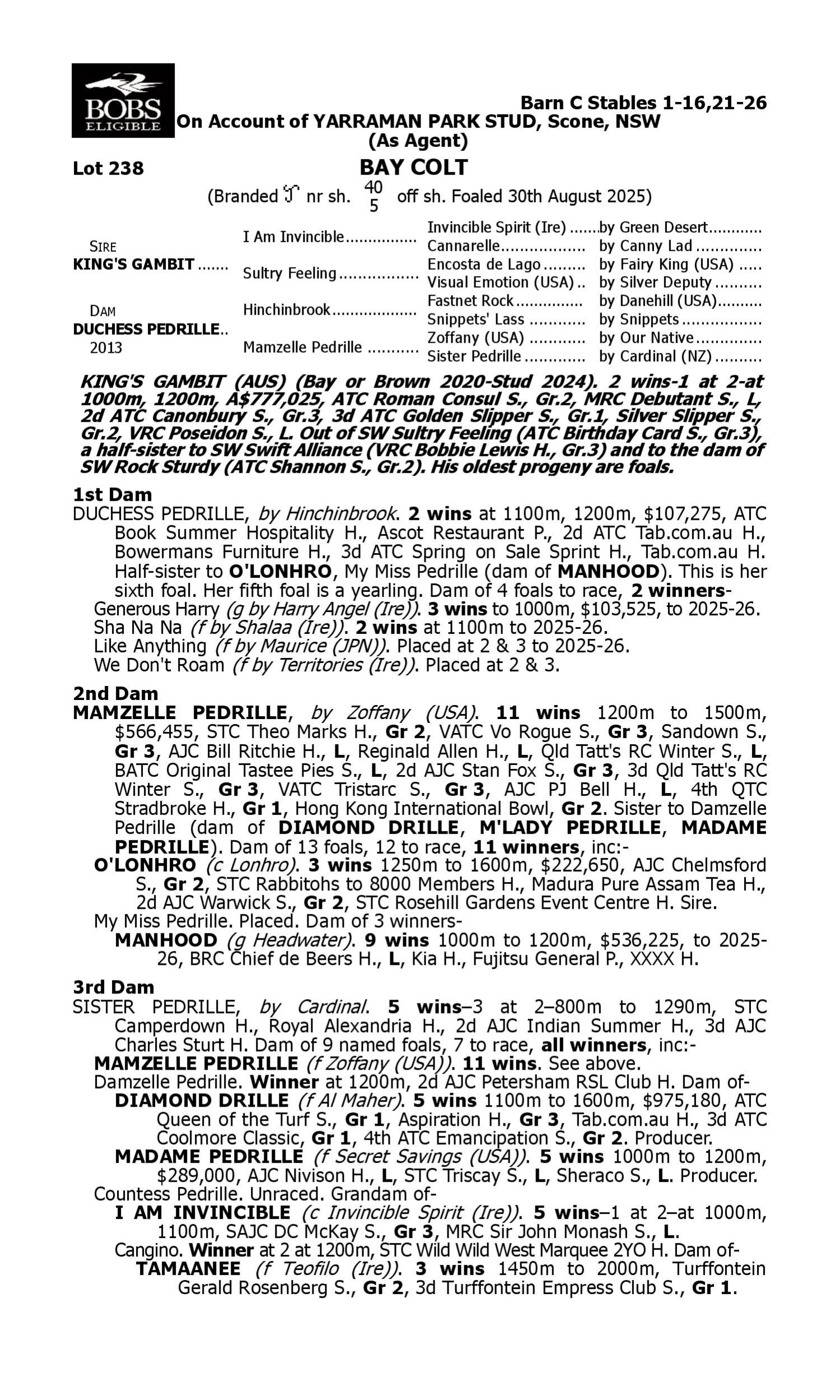 Pedigree for Lot 238 King's Gambit - Duchess Pedrille