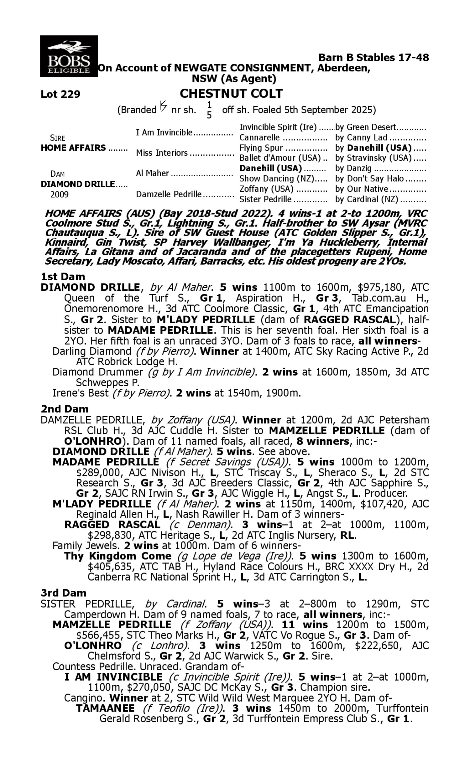 Pedigree for Lot 229 Home Affairs - Diamond Drille