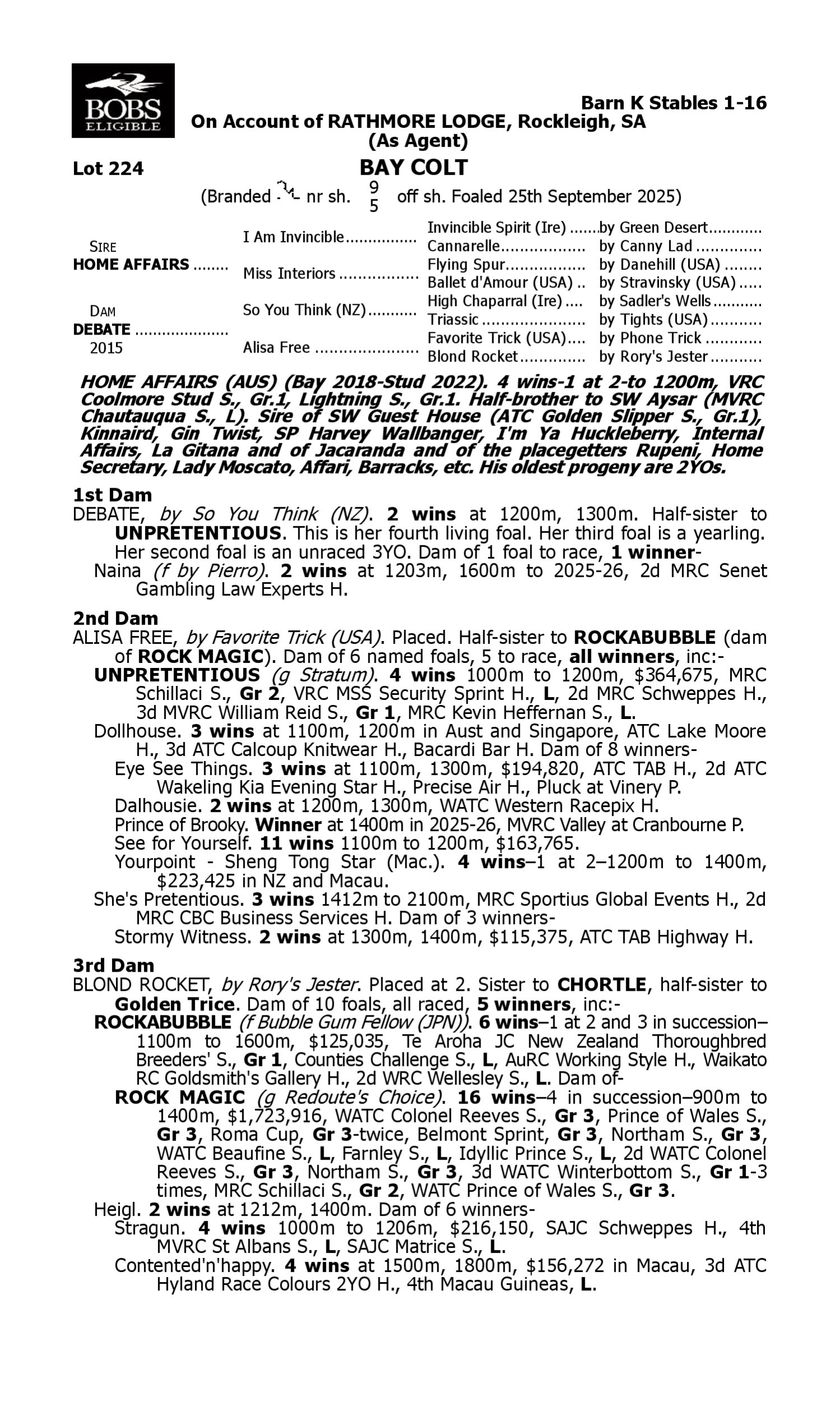Pedigree for Lot 224 Home Affairs - Debate
