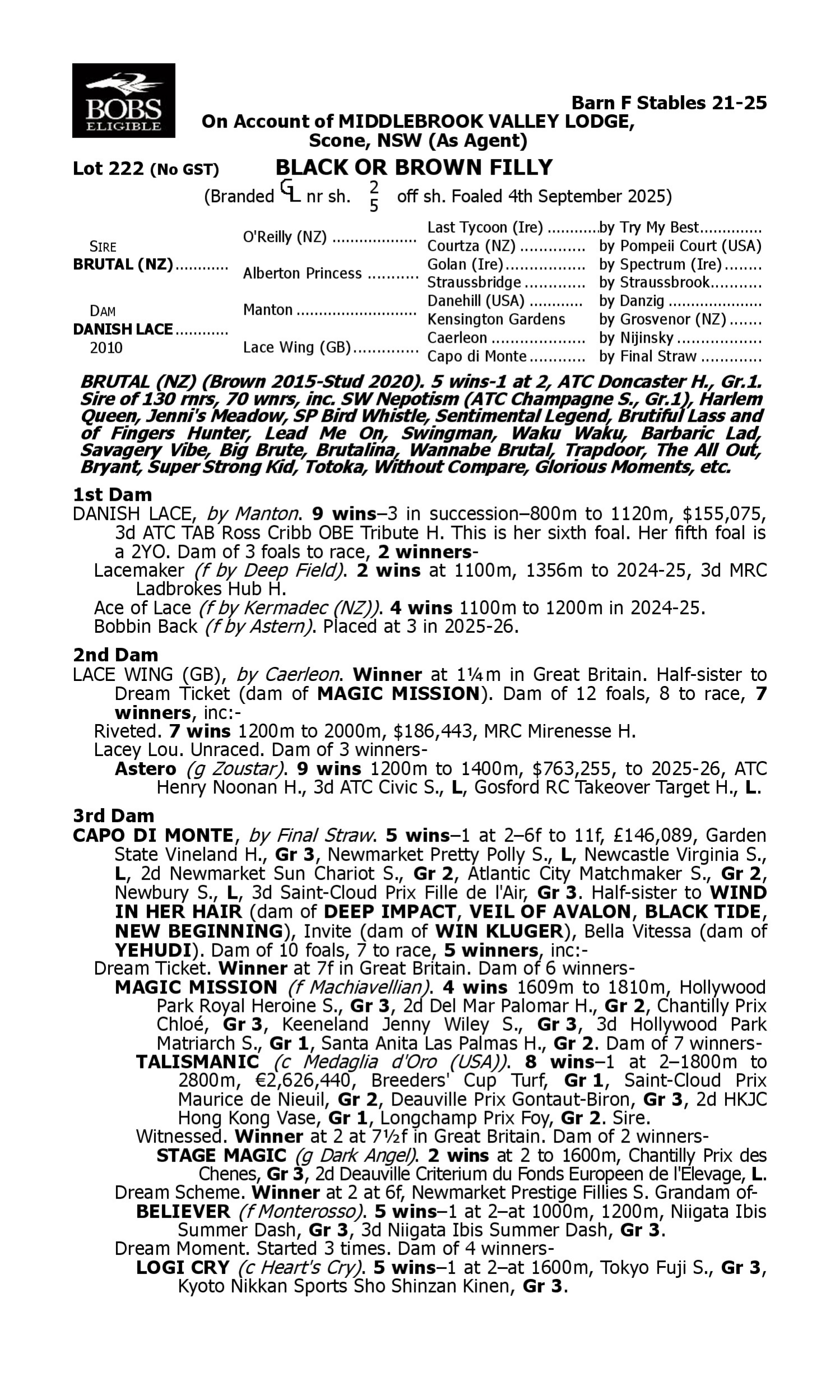 Pedigree for Lot 222 Brutal (NZ) - Danish Lace