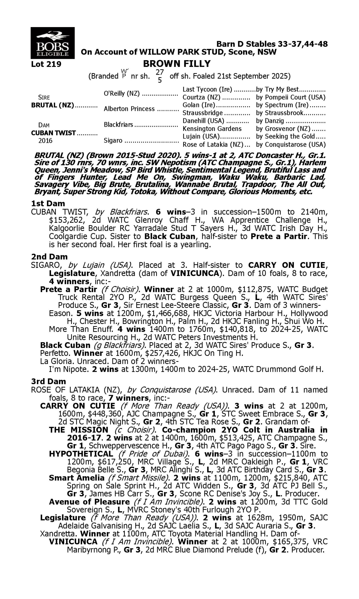 Pedigree for Lot 219 Brutal (NZ) - Cuban Twist