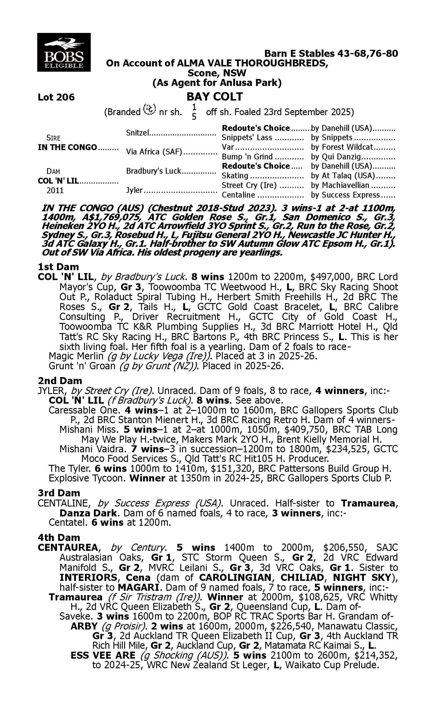 Pedigree for Lot 206 In the Congo - Col 'n' Lil