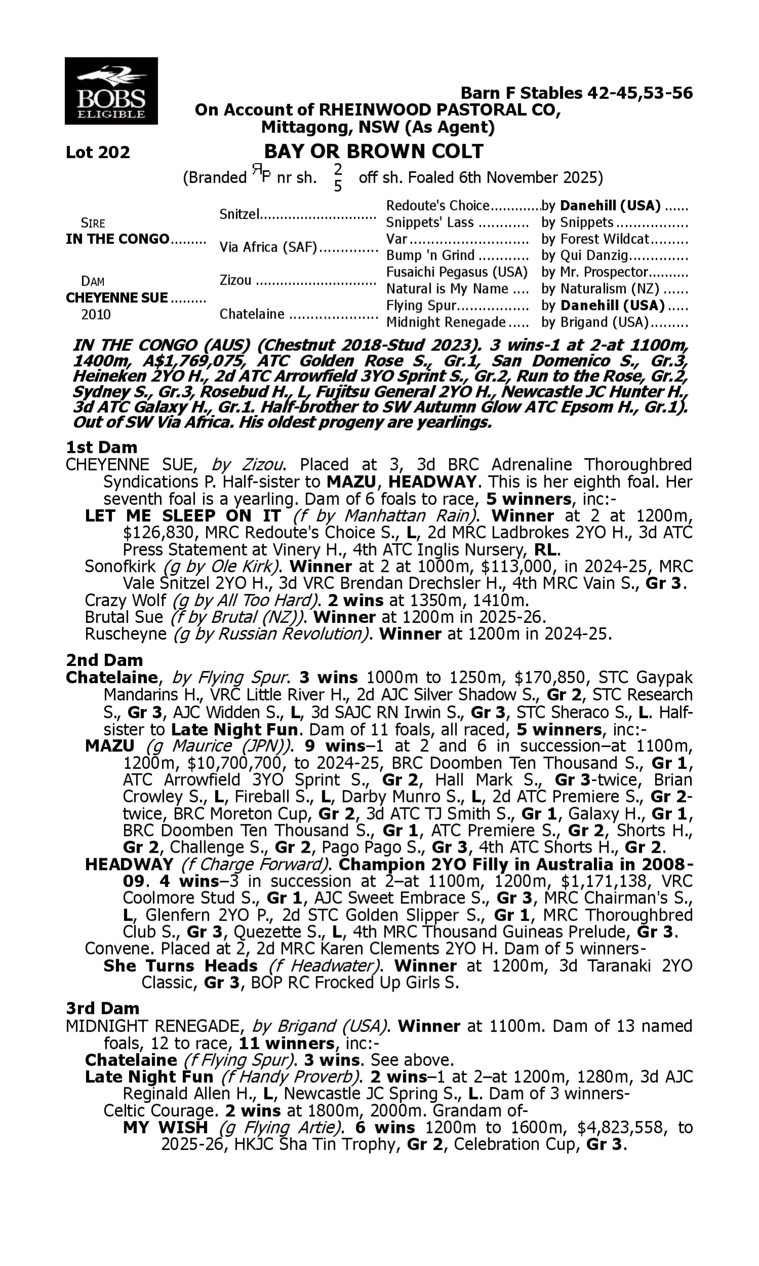 Pedigree for Lot 202 In the Congo - Cheyenne Sue