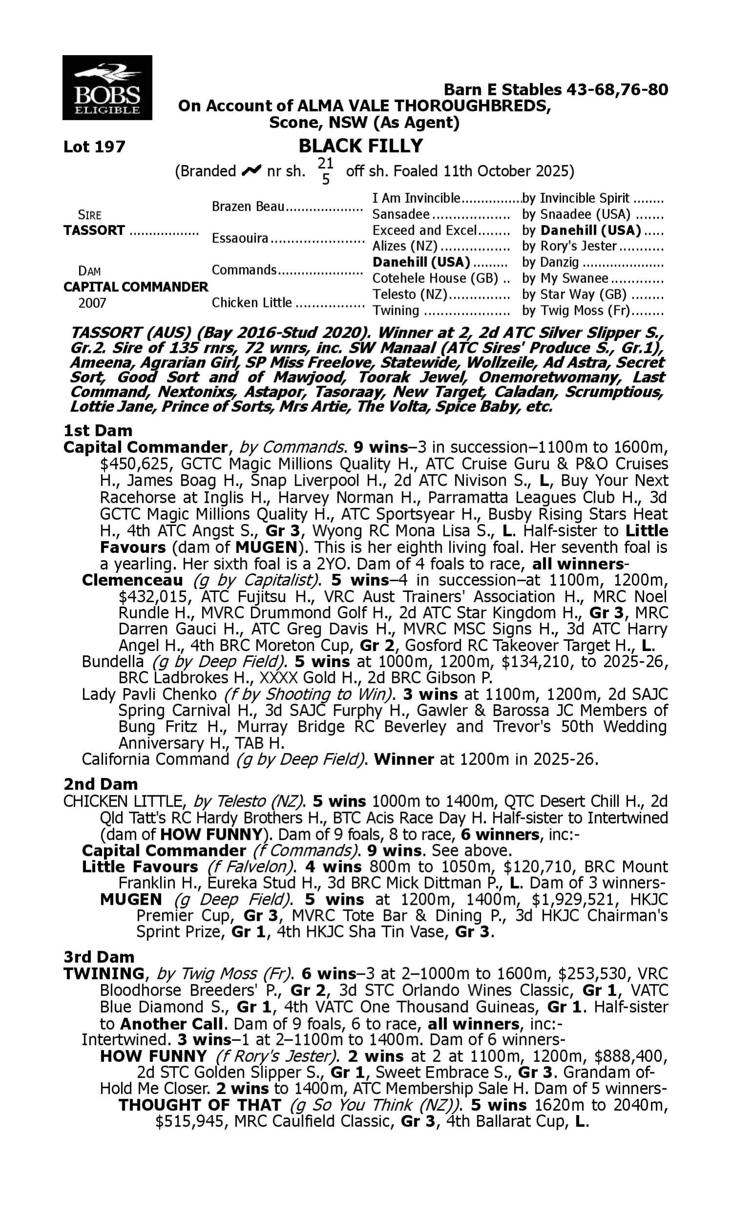 Pedigree for Lot 197 Tassort - Capital Commander