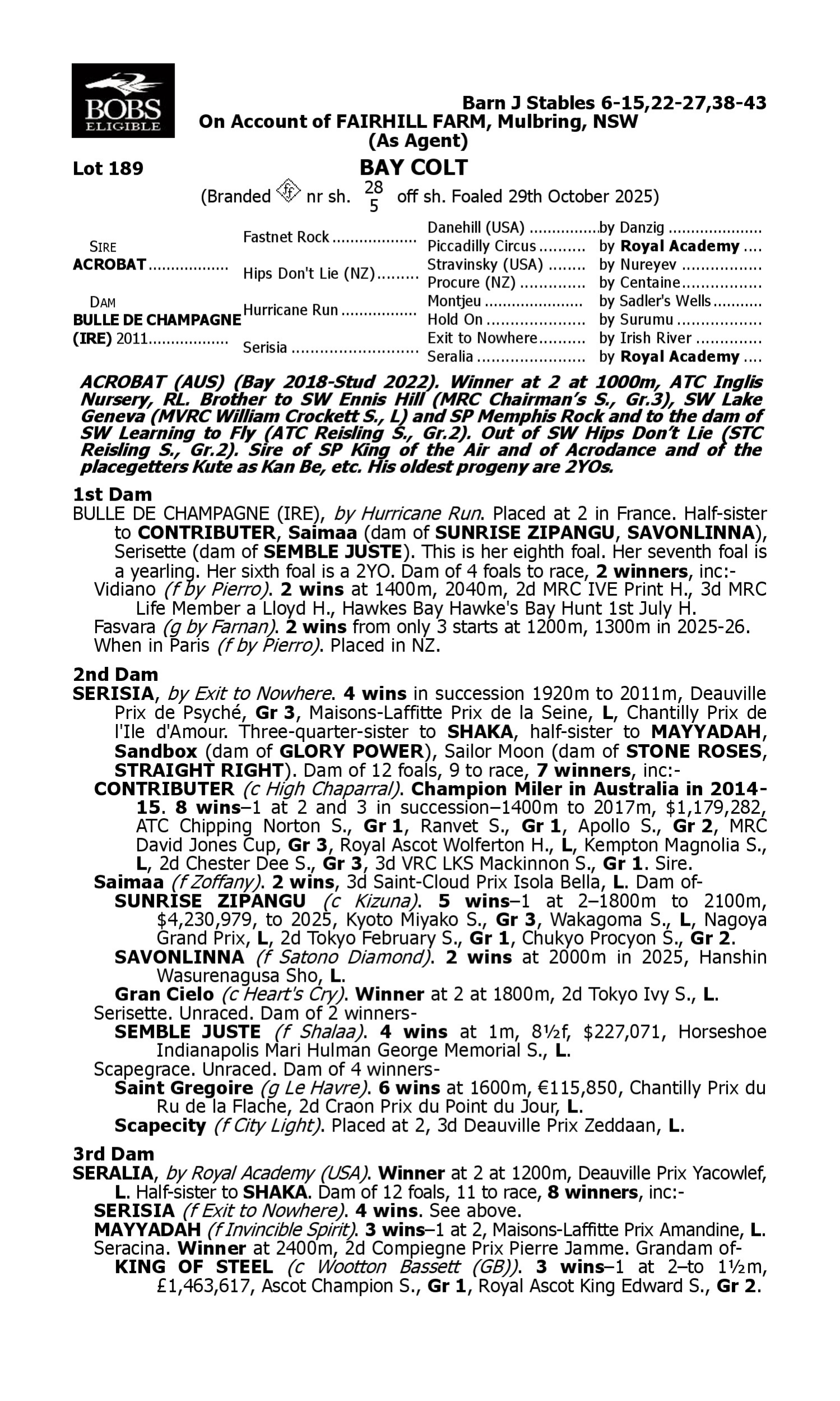 Pedigree for Lot 189 Acrobat - Bulle de Champagne (IRE)