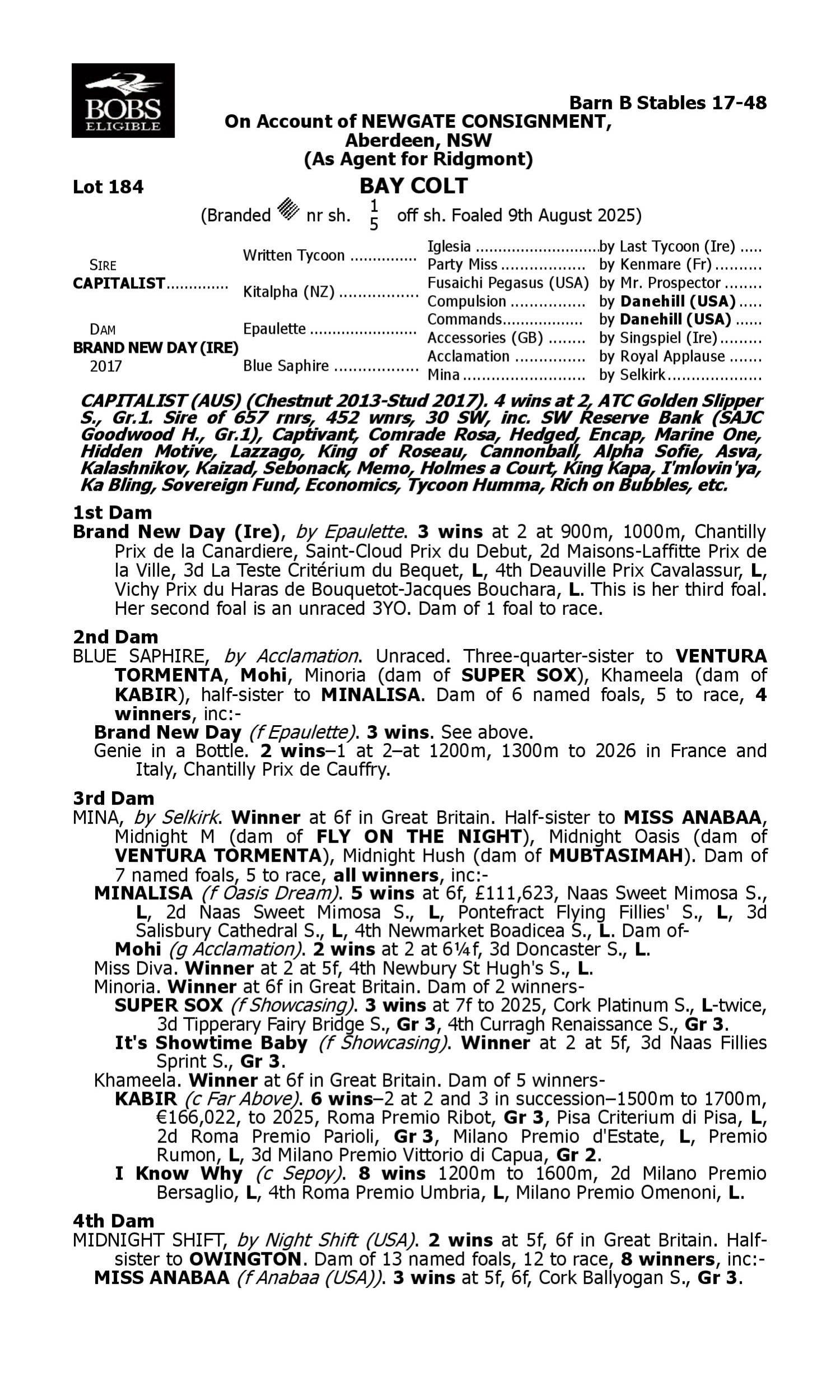 Pedigree for Lot 184 Capitalist - Brand New Day (IRE)