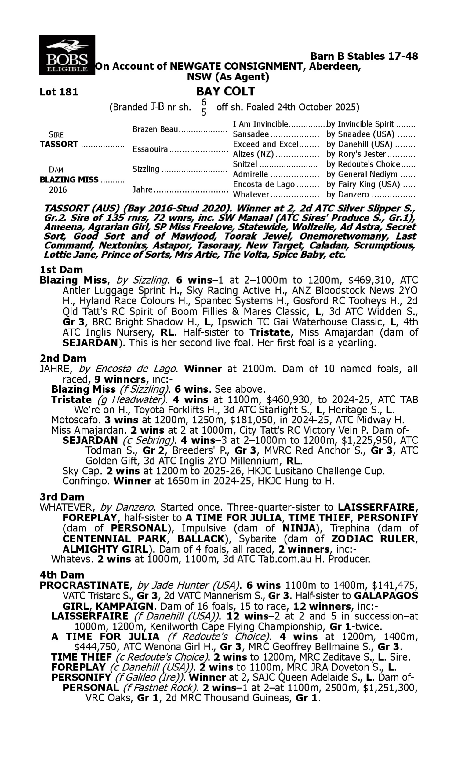 Pedigree for Lot 181 Tassort - Blazing Miss