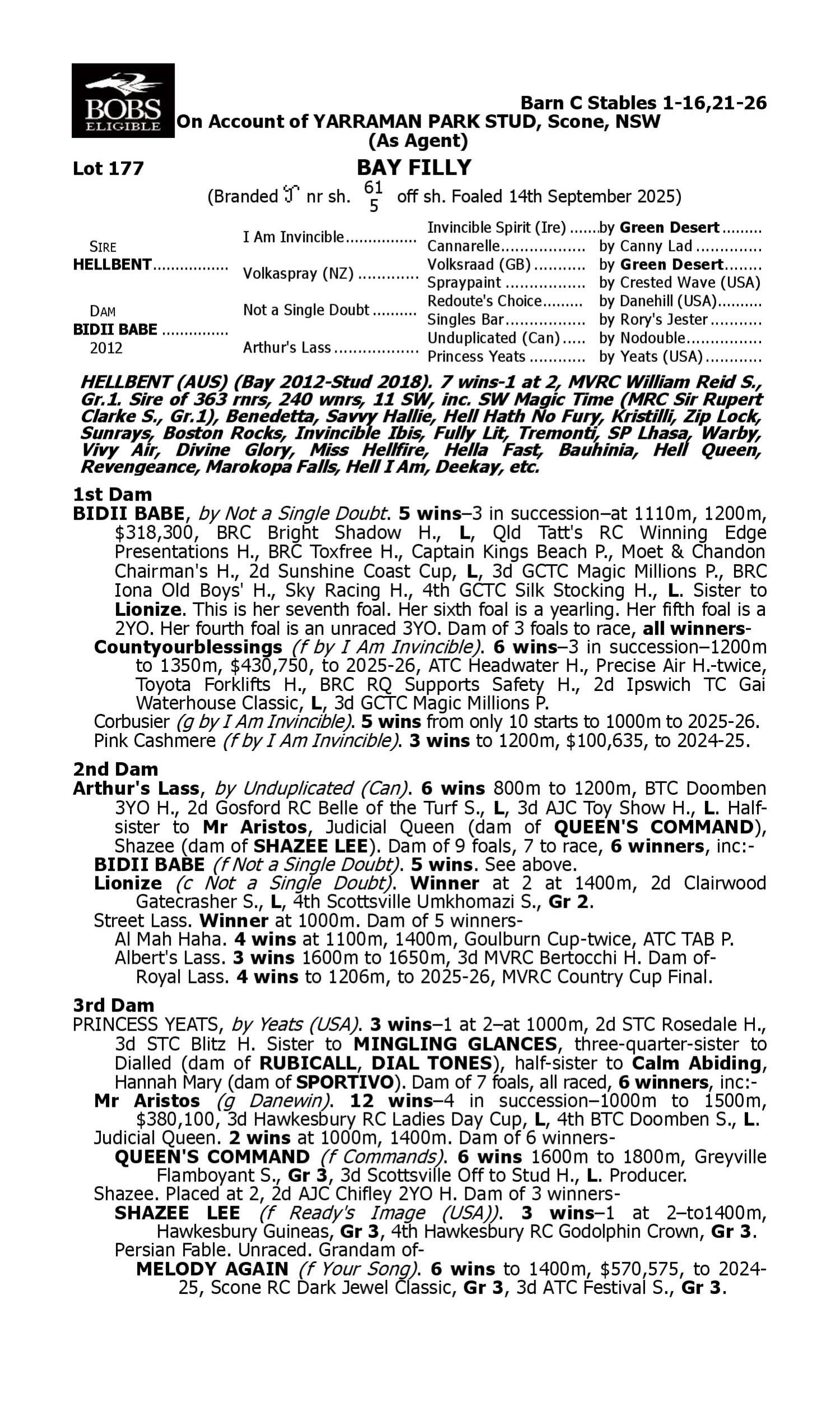 Pedigree for Lot 177 Hellbent - Bidii Babe