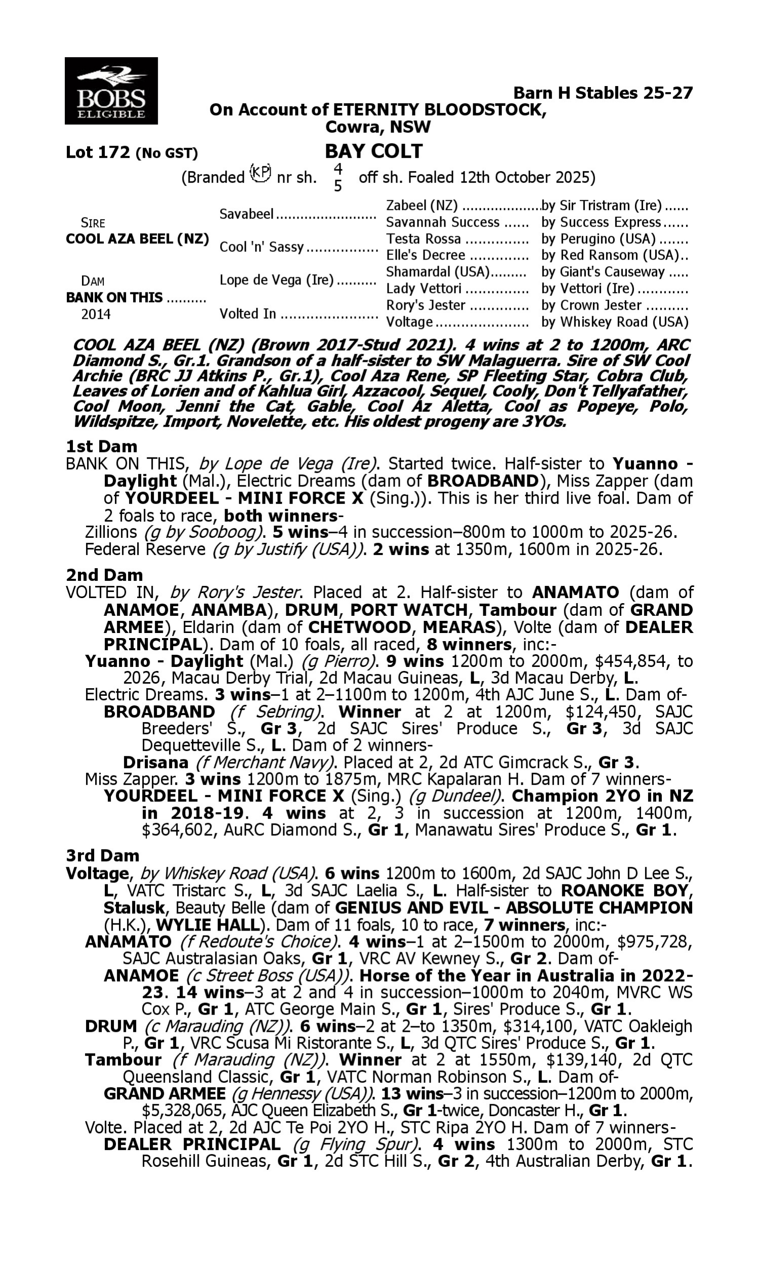 Pedigree for Lot 172 Cool Aza Beel (NZ) - Bank on This