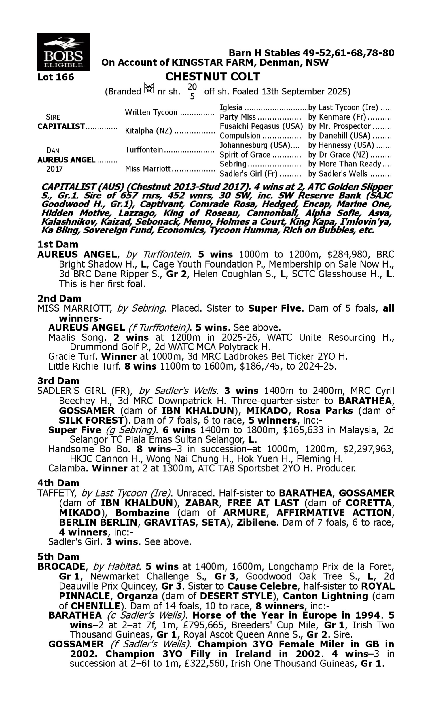 Pedigree for Lot 166 Capitalist - Aureus Angel