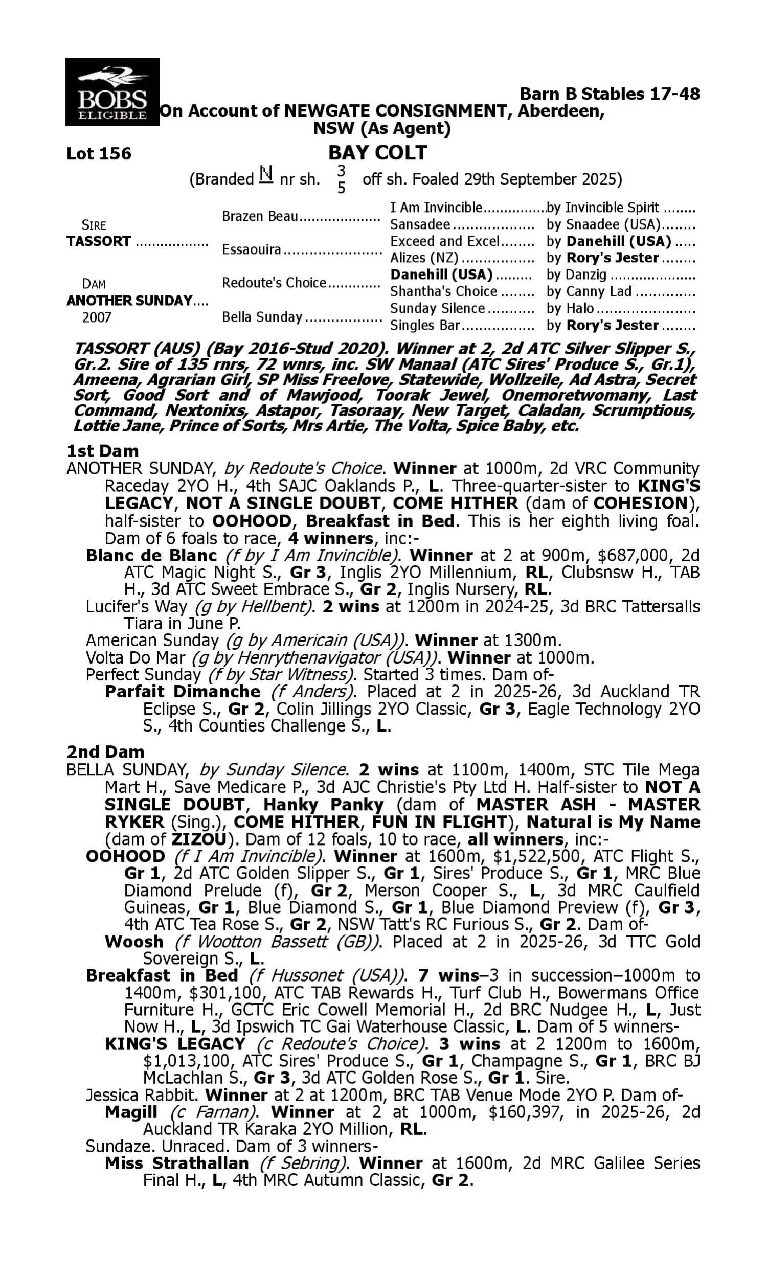 Pedigree for Lot 156 Tassort - Another Sunday