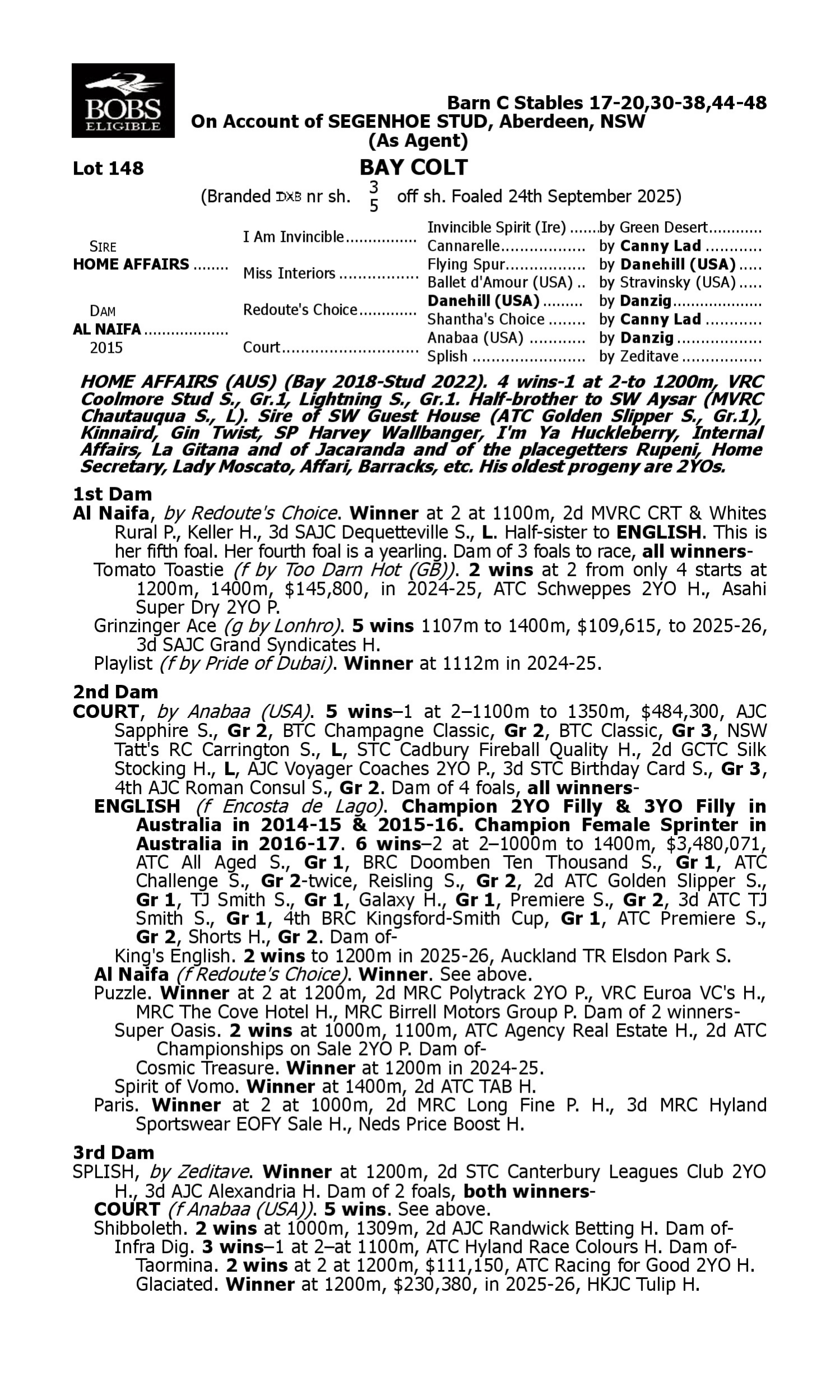 Pedigree for Lot 148 Home Affairs - Al Naifa