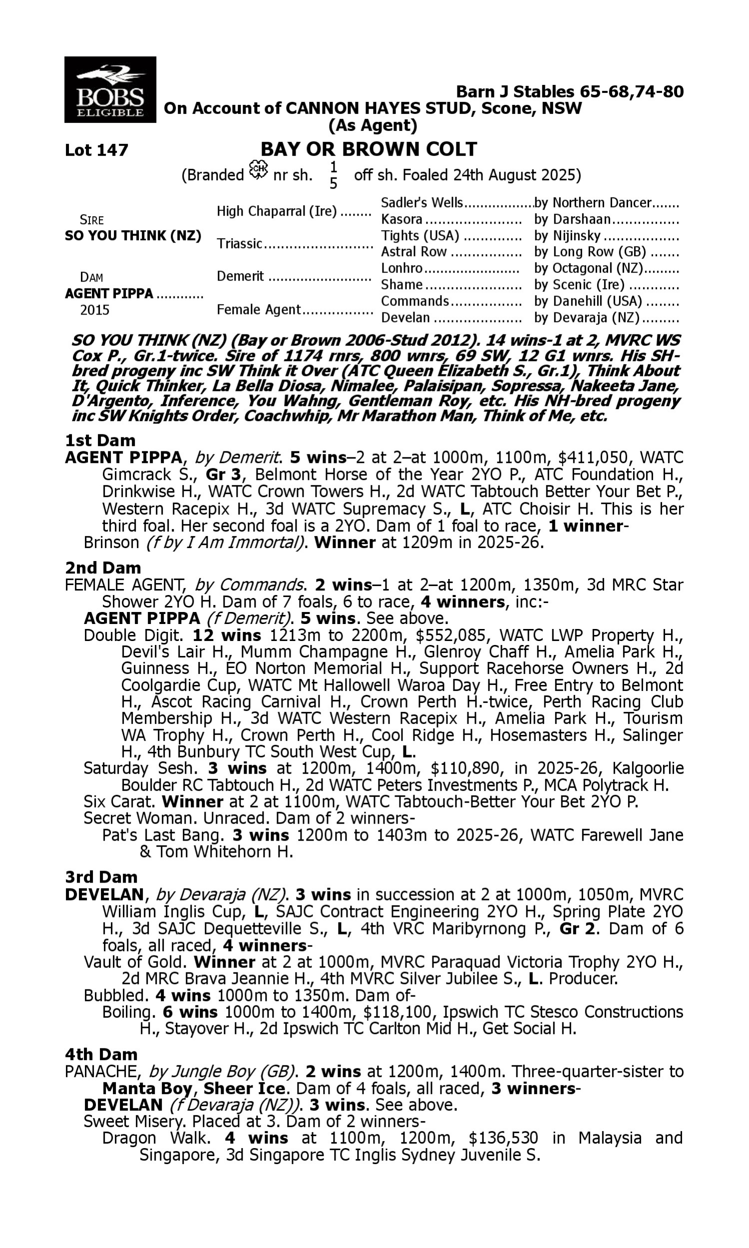 Pedigree for Lot 147 So You Think (NZ) - Agent Pippa