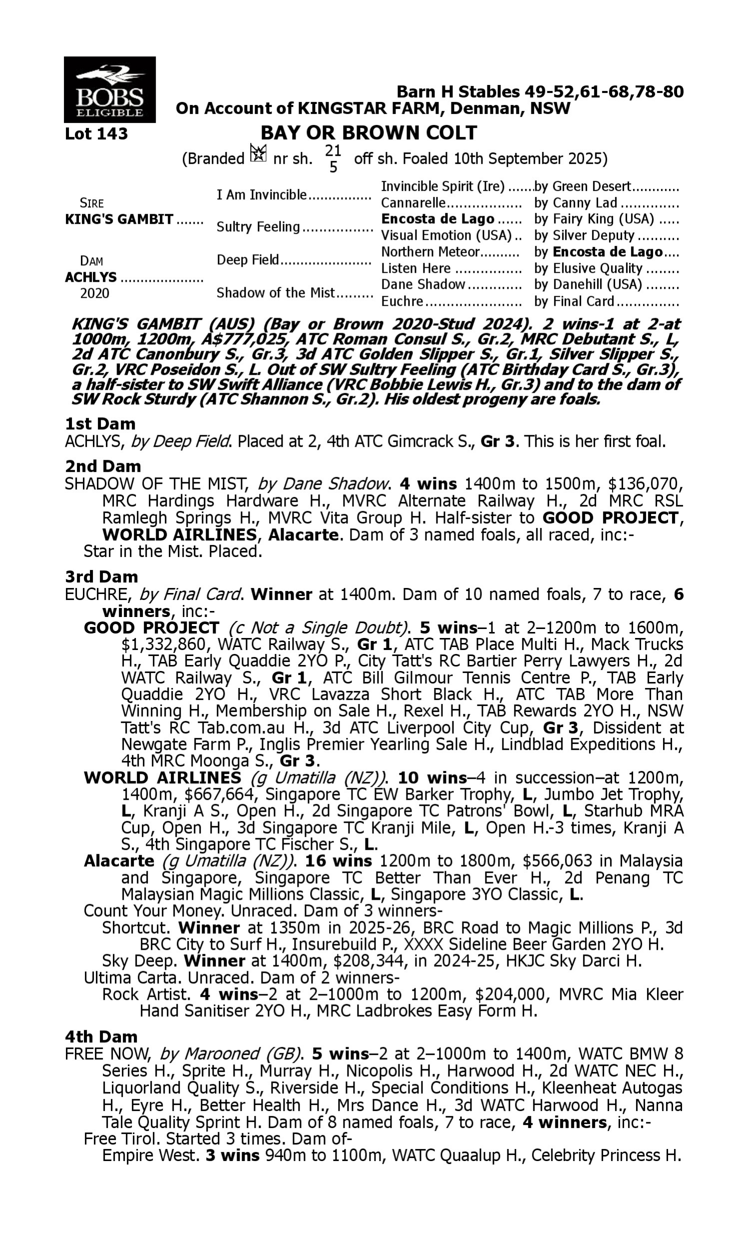 Pedigree for Lot 143 King's Gambit - Achlys