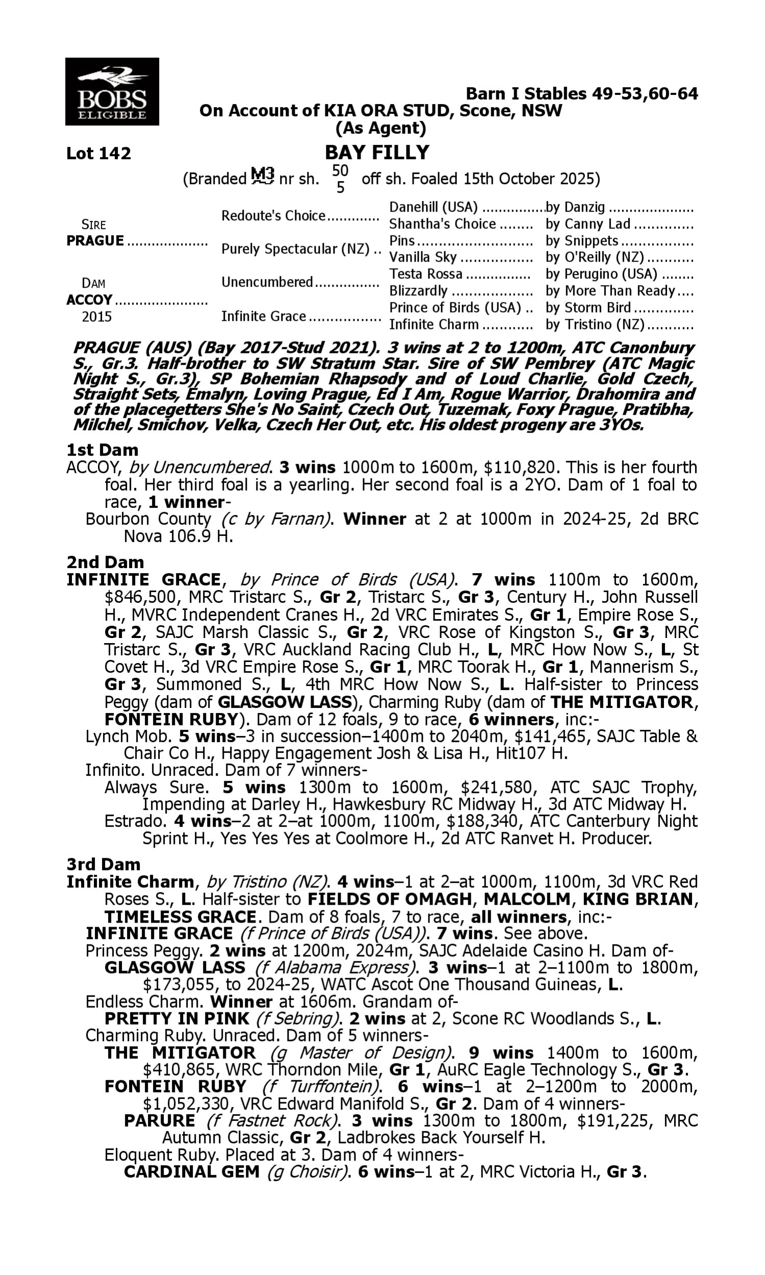 Pedigree for Lot 142 Prague - Accoy