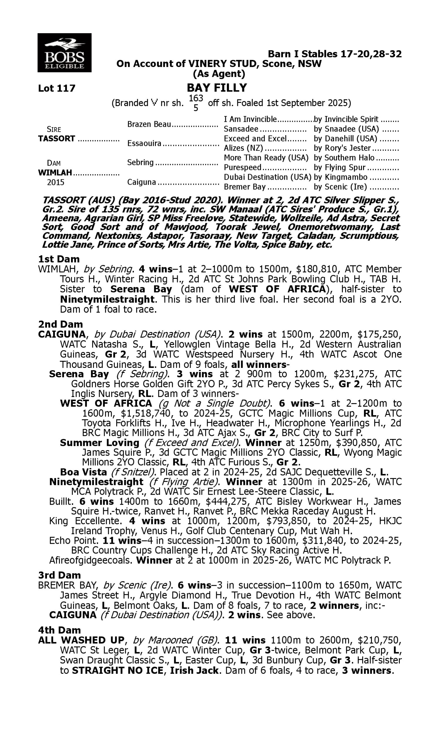 Pedigree for Lot 117 Tassort - Wimlah