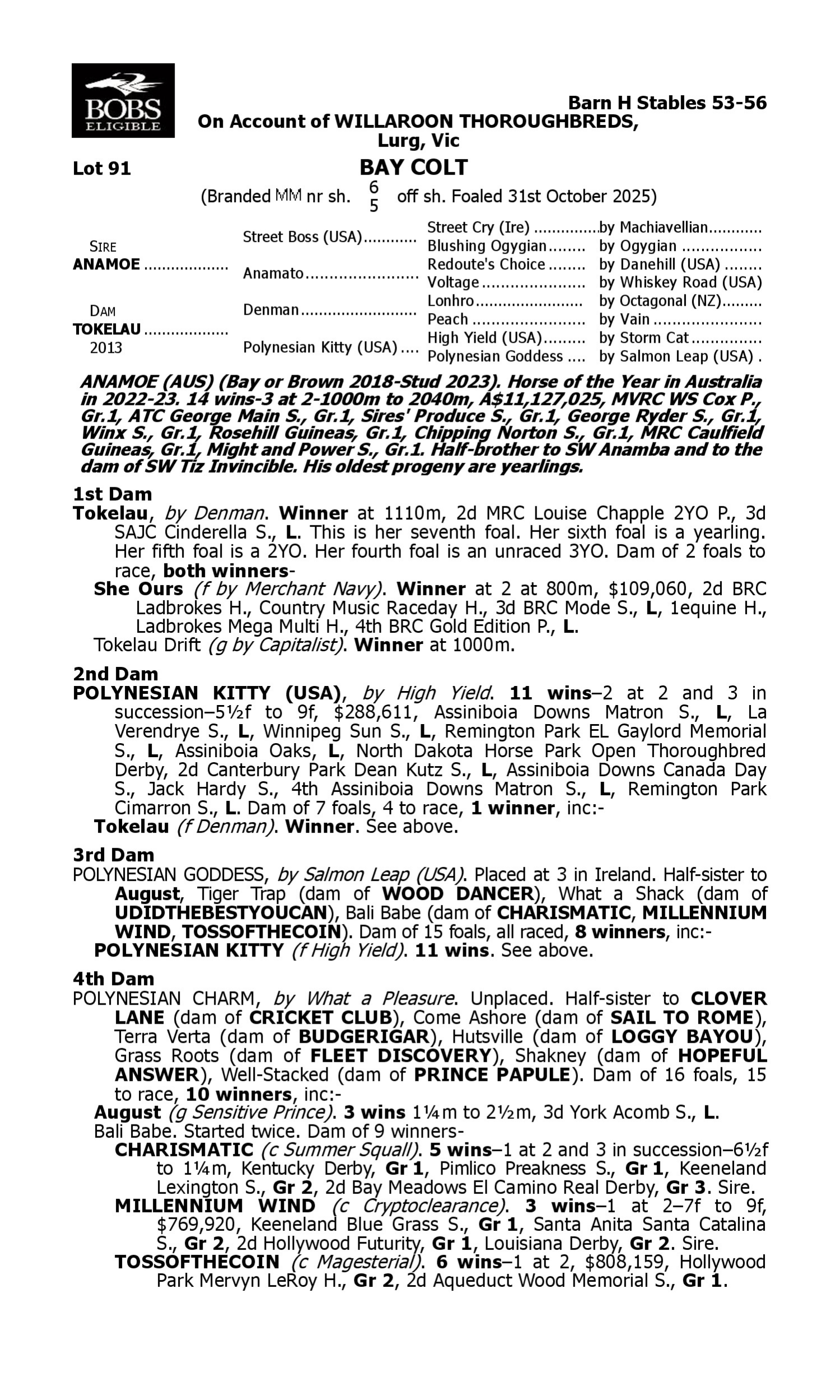 Pedigree for Lot 91 Anamoe - Tokelau