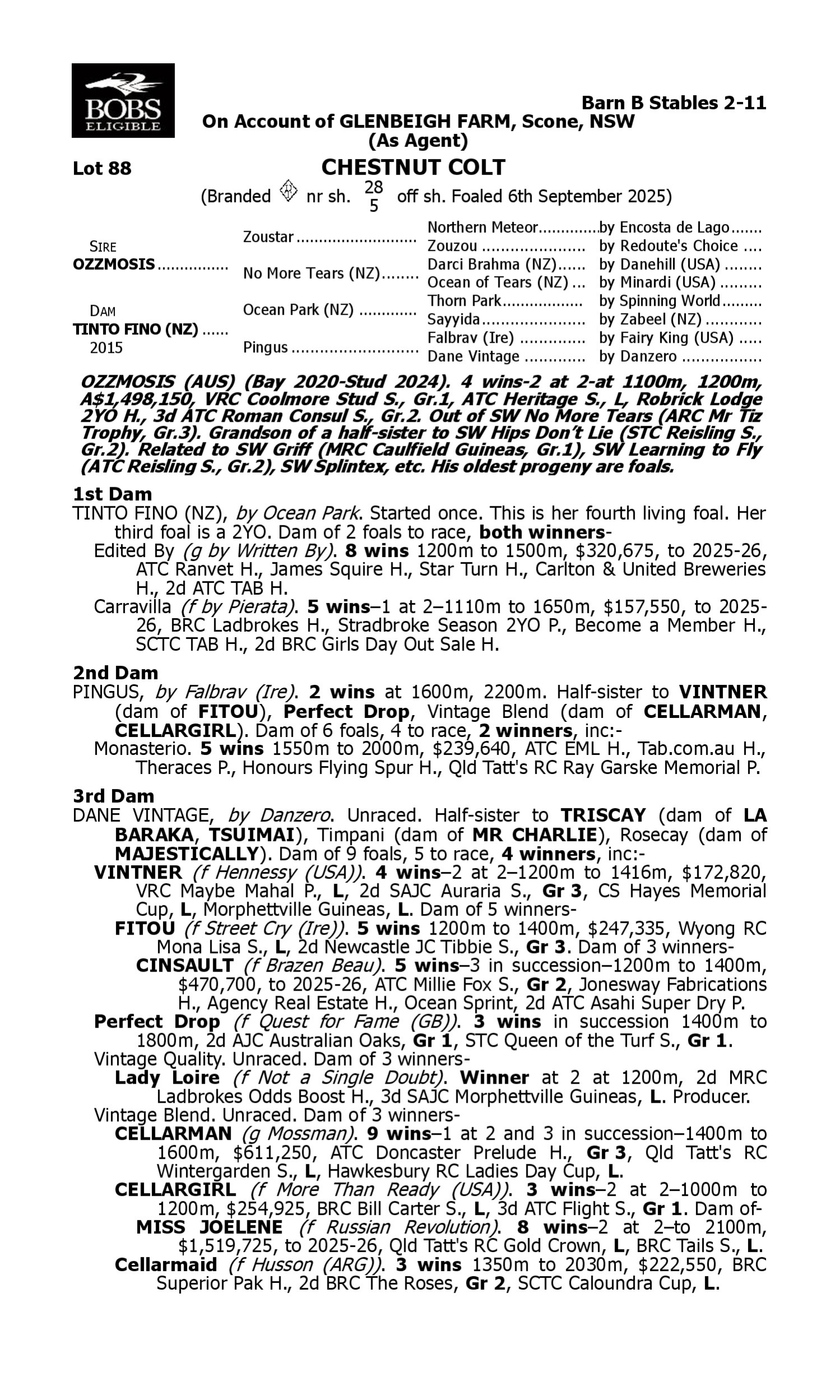Pedigree for Lot 88 Ozzmosis - Tinto Fino (NZ)
